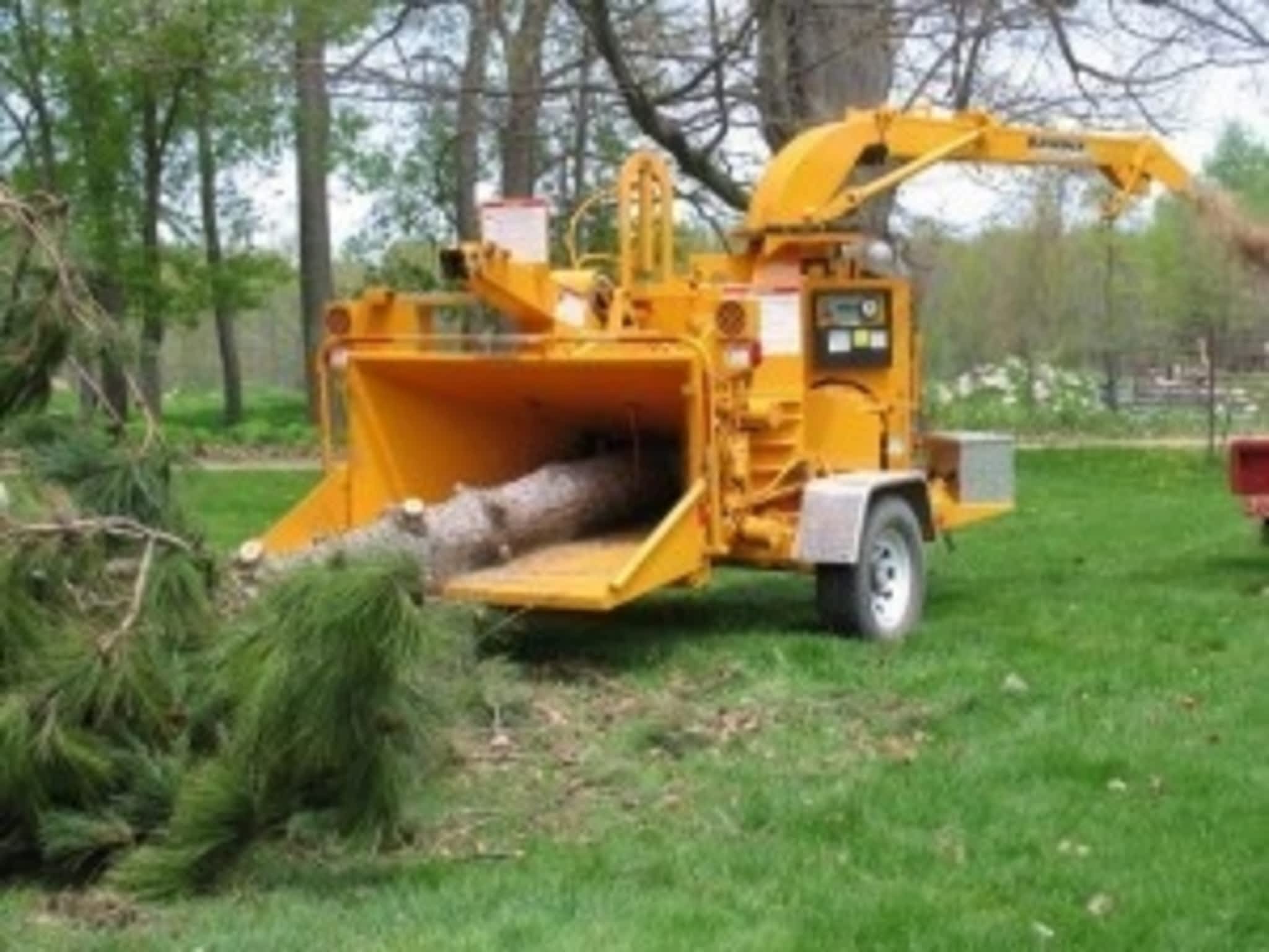 photo Ascend Tree Services