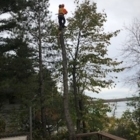 Cottage Country Tree Surgeons - Service d'entretien d'arbres