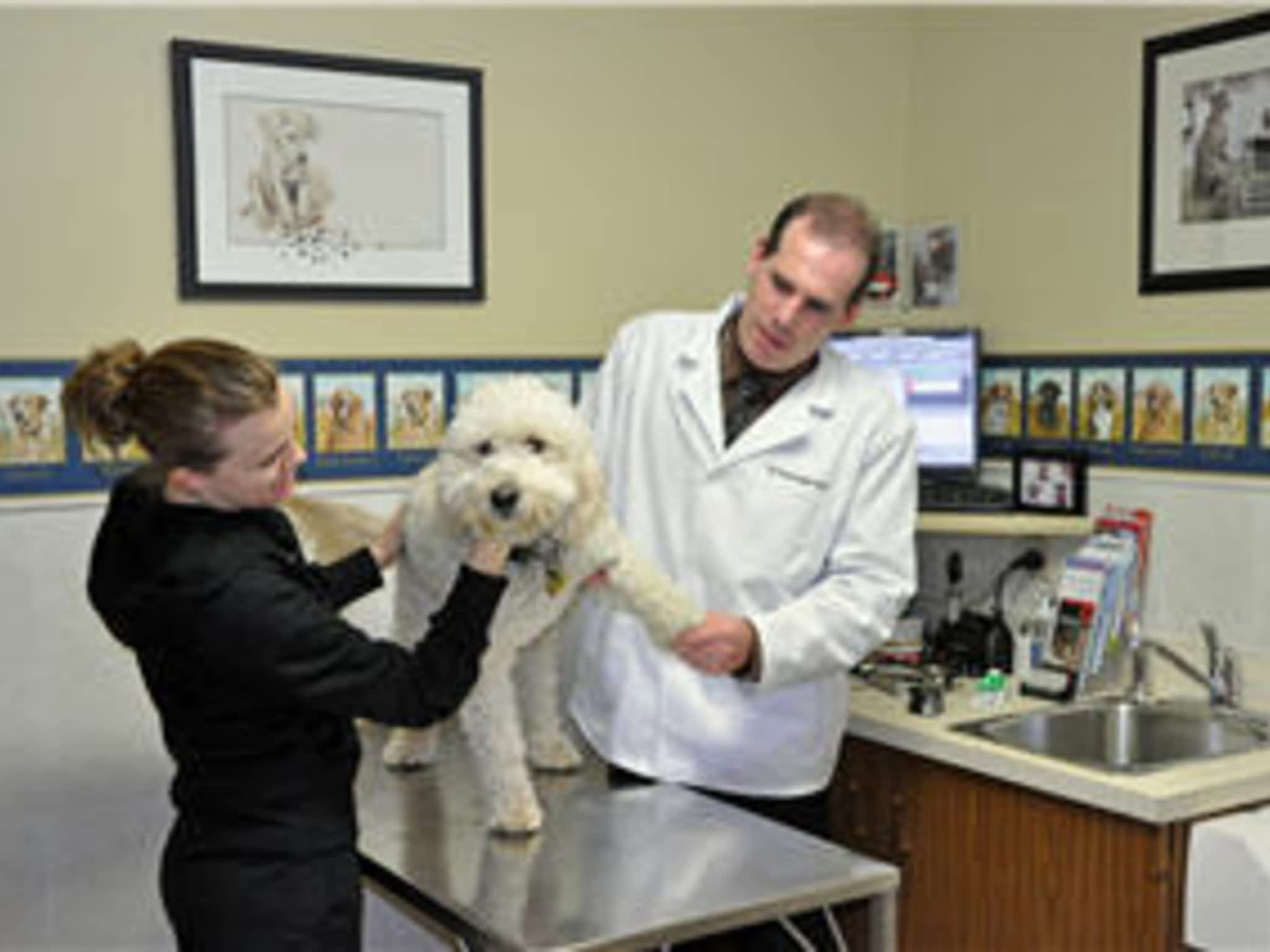 Morgan Animal Hospital - Niagara Falls, ON - 6251 O'Neil St | Canpages