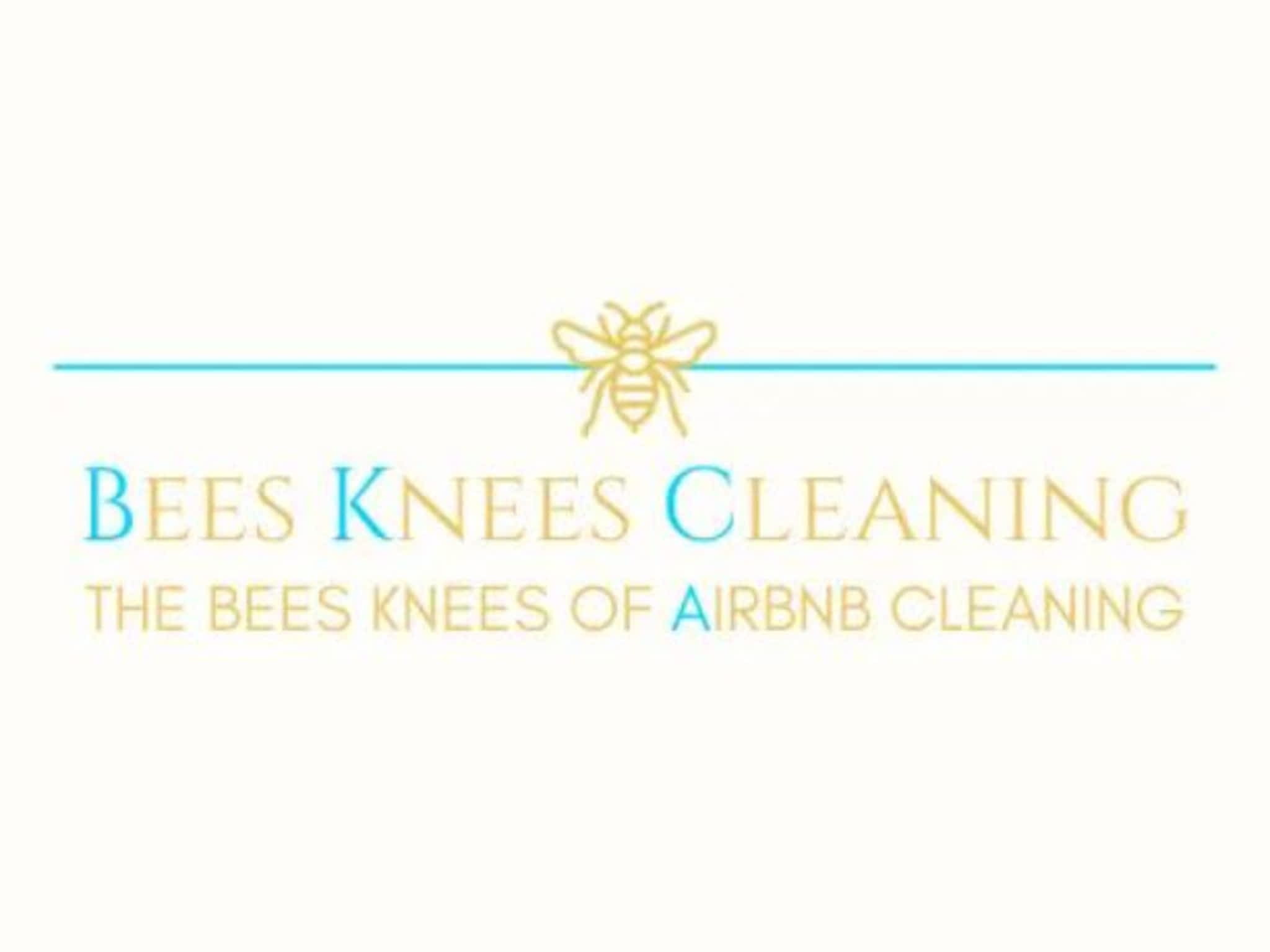 photo Bee's Knee's Cleaning