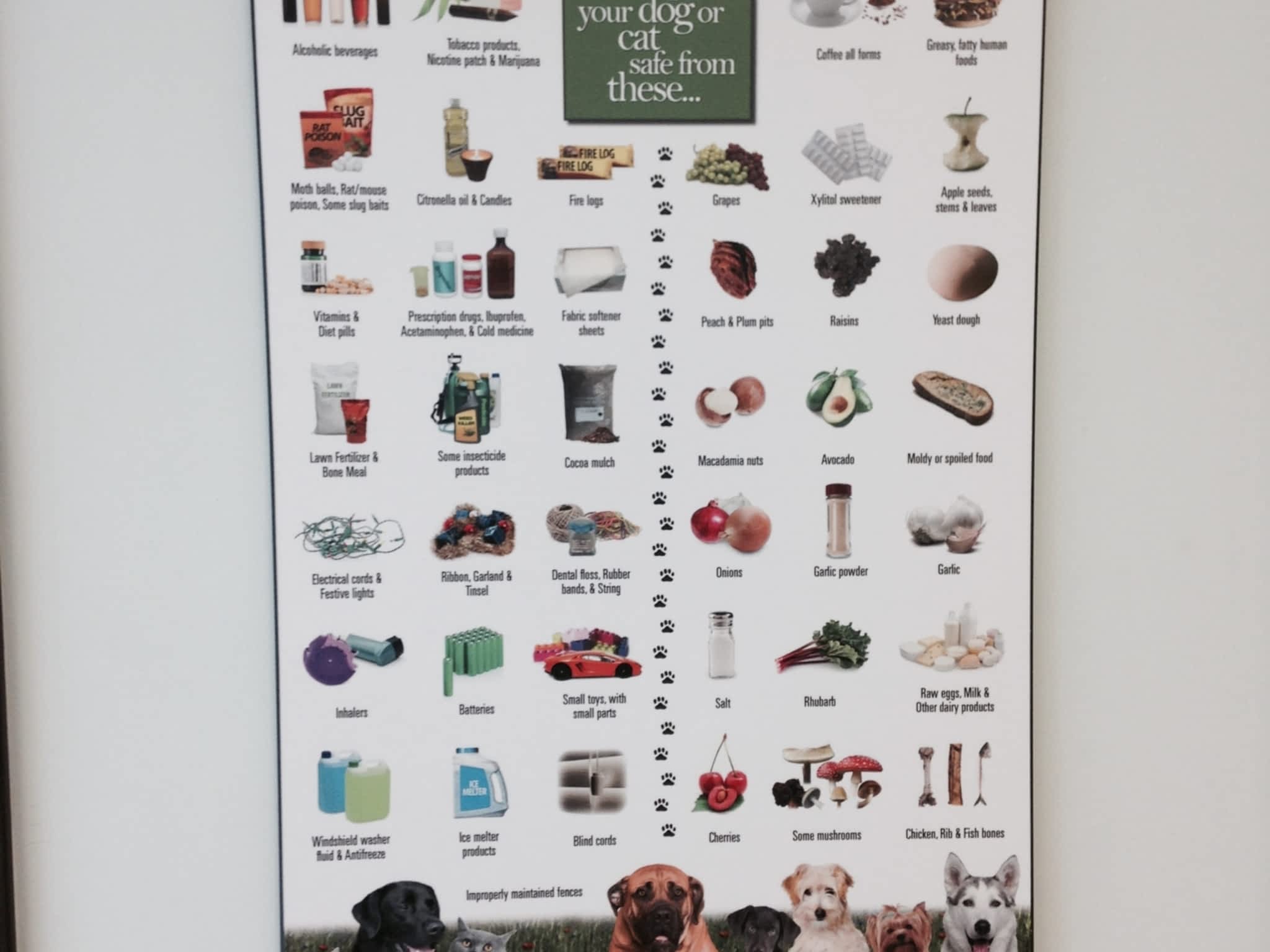 Broadway Animal Hospital Orangeville, ON 1328 Broadway Ave Canpages