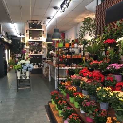 Fleuressence Monkland - Épiceries