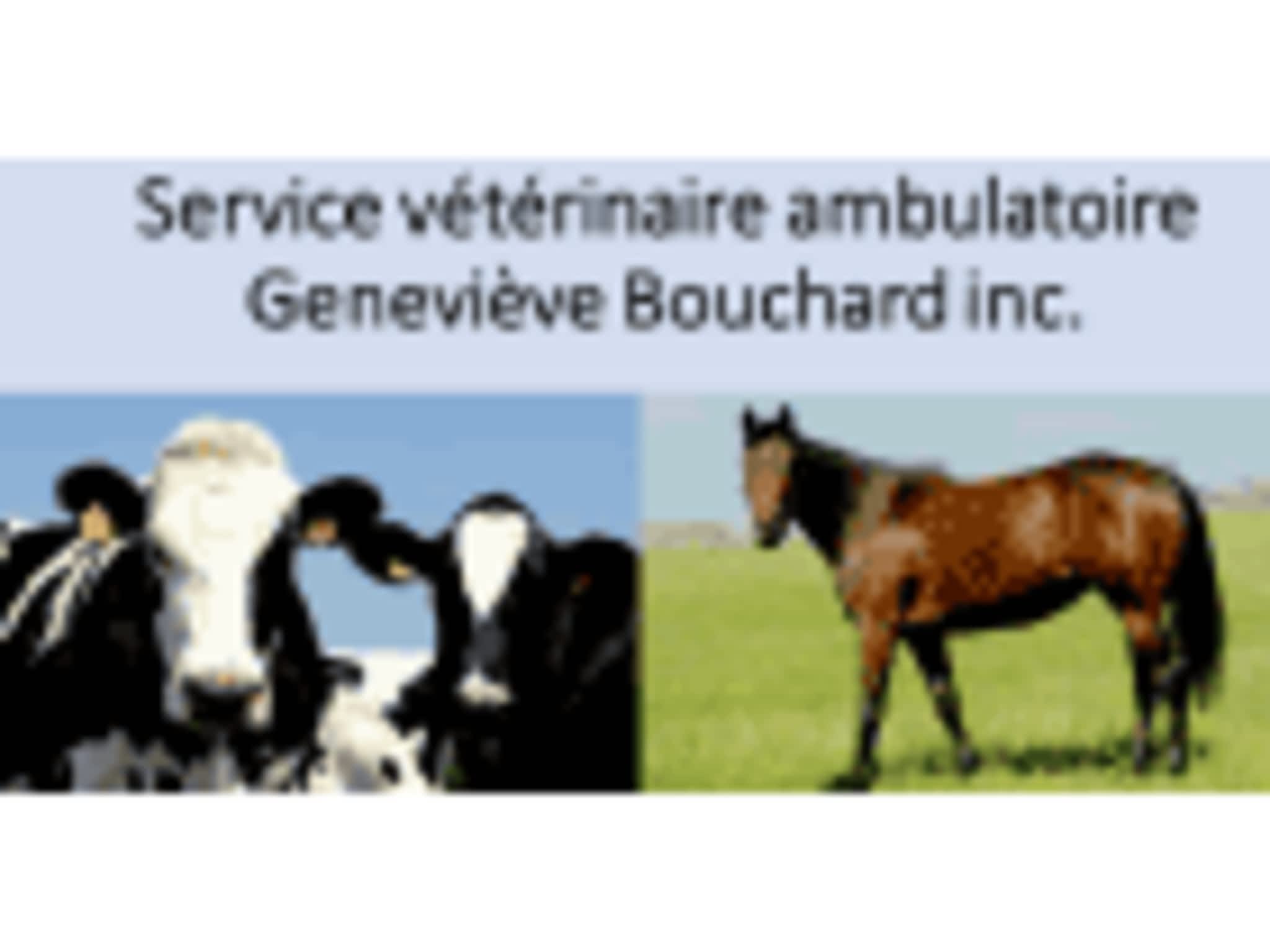 photo Service Vétérinaire Ambulatoire Geneviève Bouchard Inc