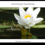View Kim's Hypnotherapy’s Milner profile