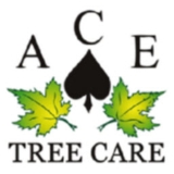 A C E Tree Care - Tree Service