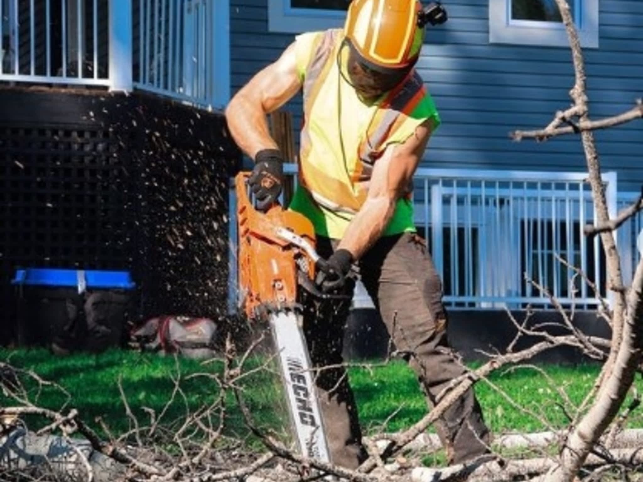 photo Canopy Keeper Tree Care