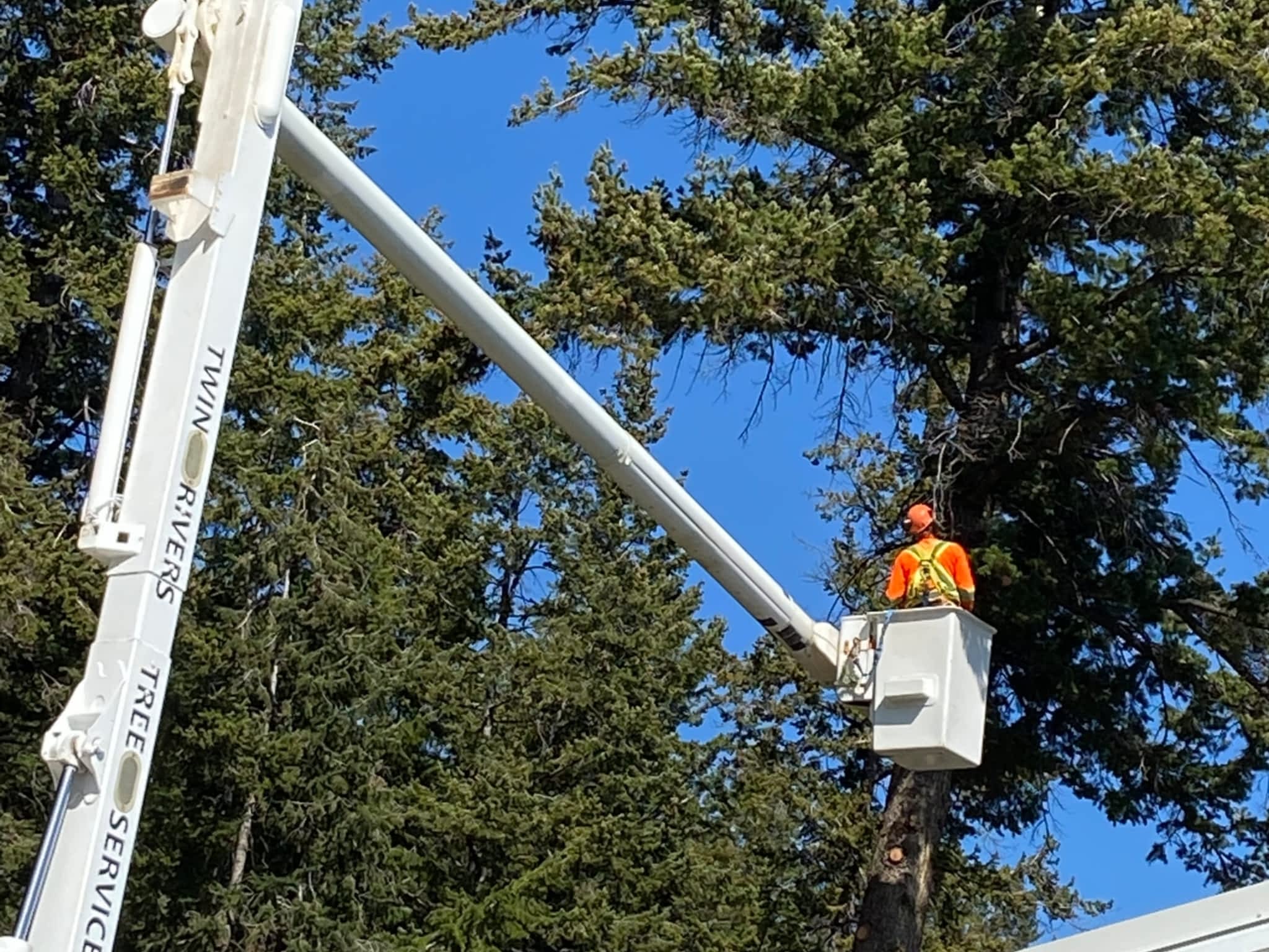 photo Twin Rivers Tree Service and Landscaping - Frase r Valley