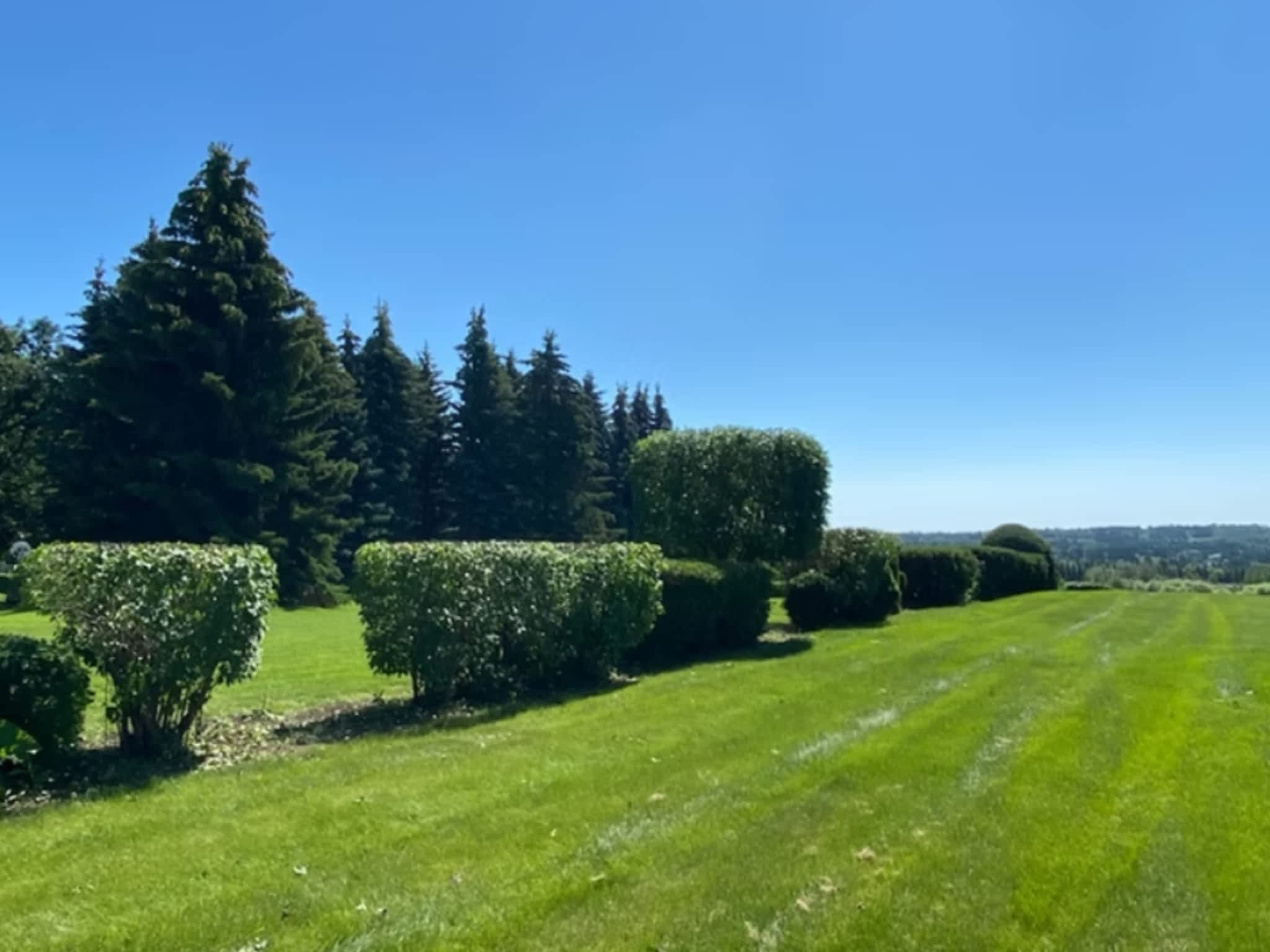 photo Edmonton Tree Care