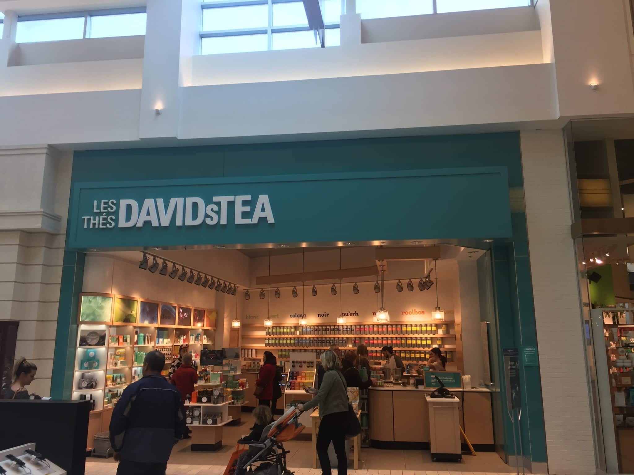 photo DAVIDsTEA