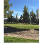 Chelmsford Golf Course - Terrains de golf publics
