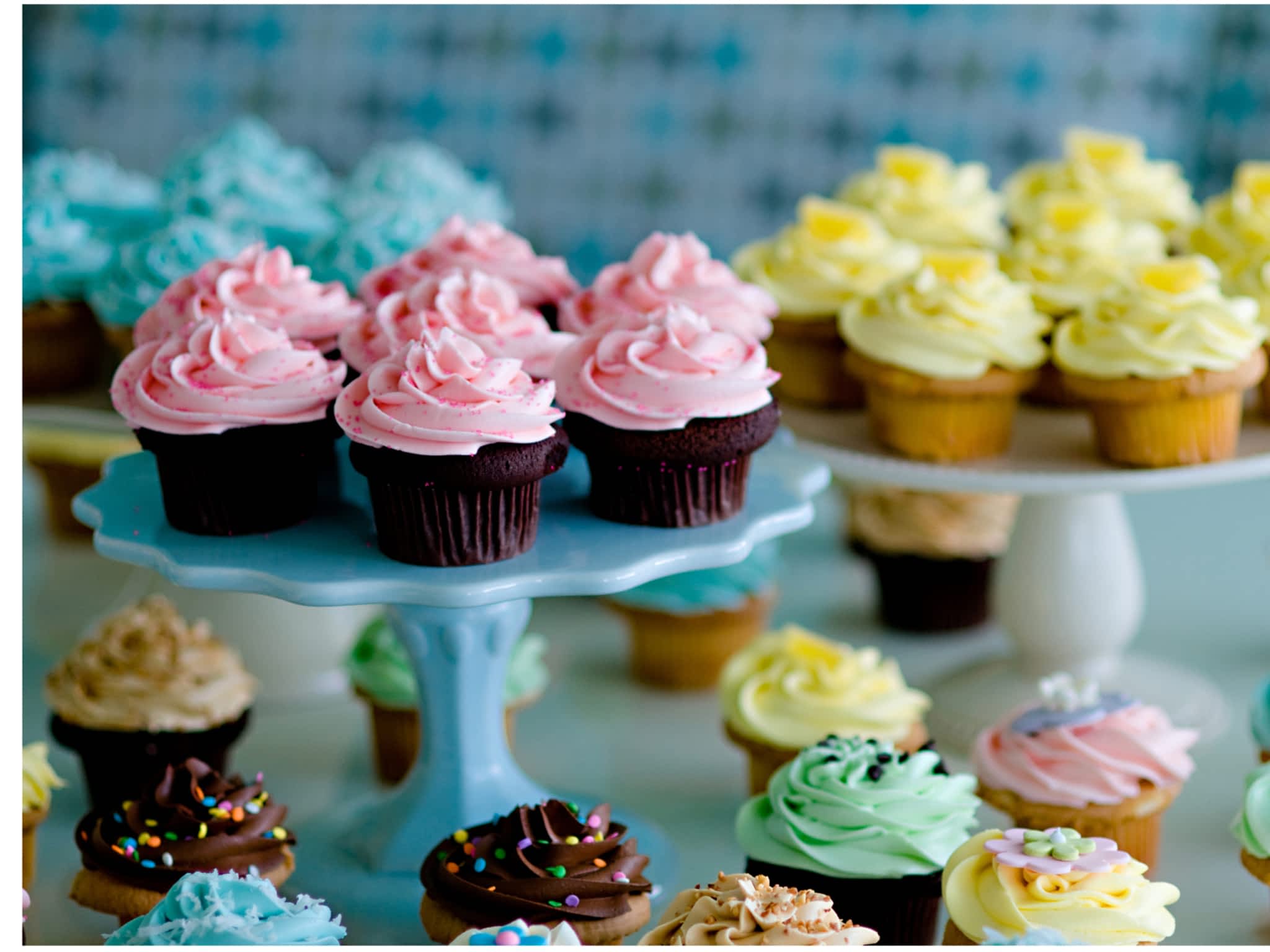photo Cupcakes