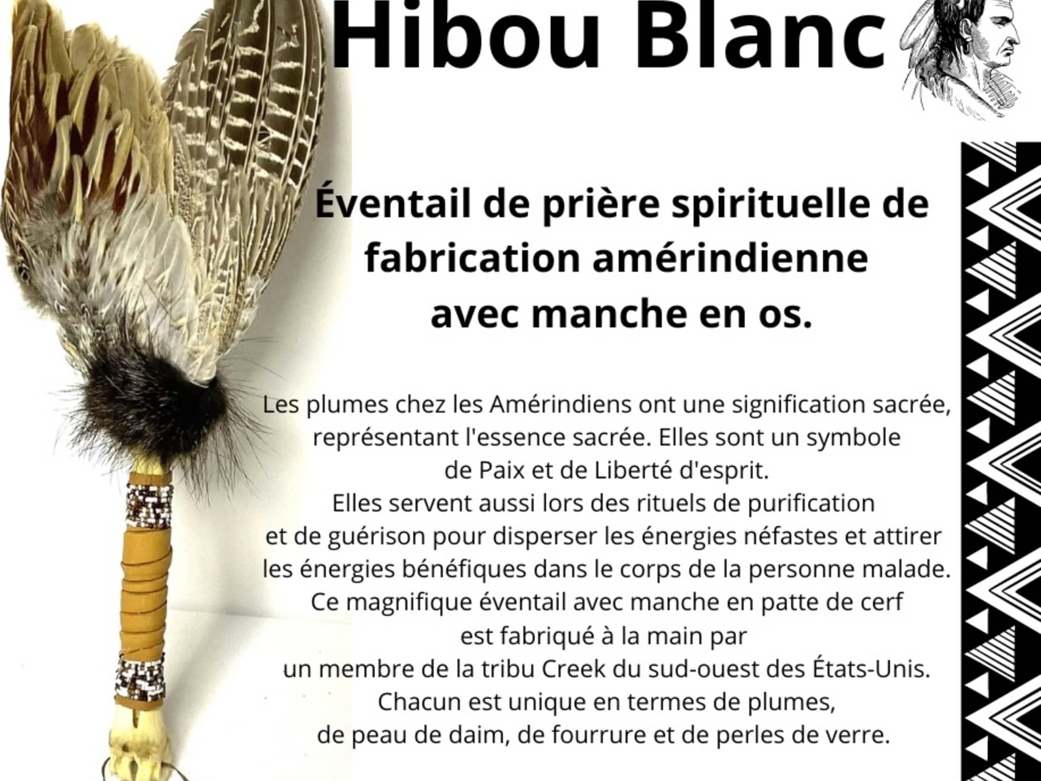 photo Hibou Blanc inc