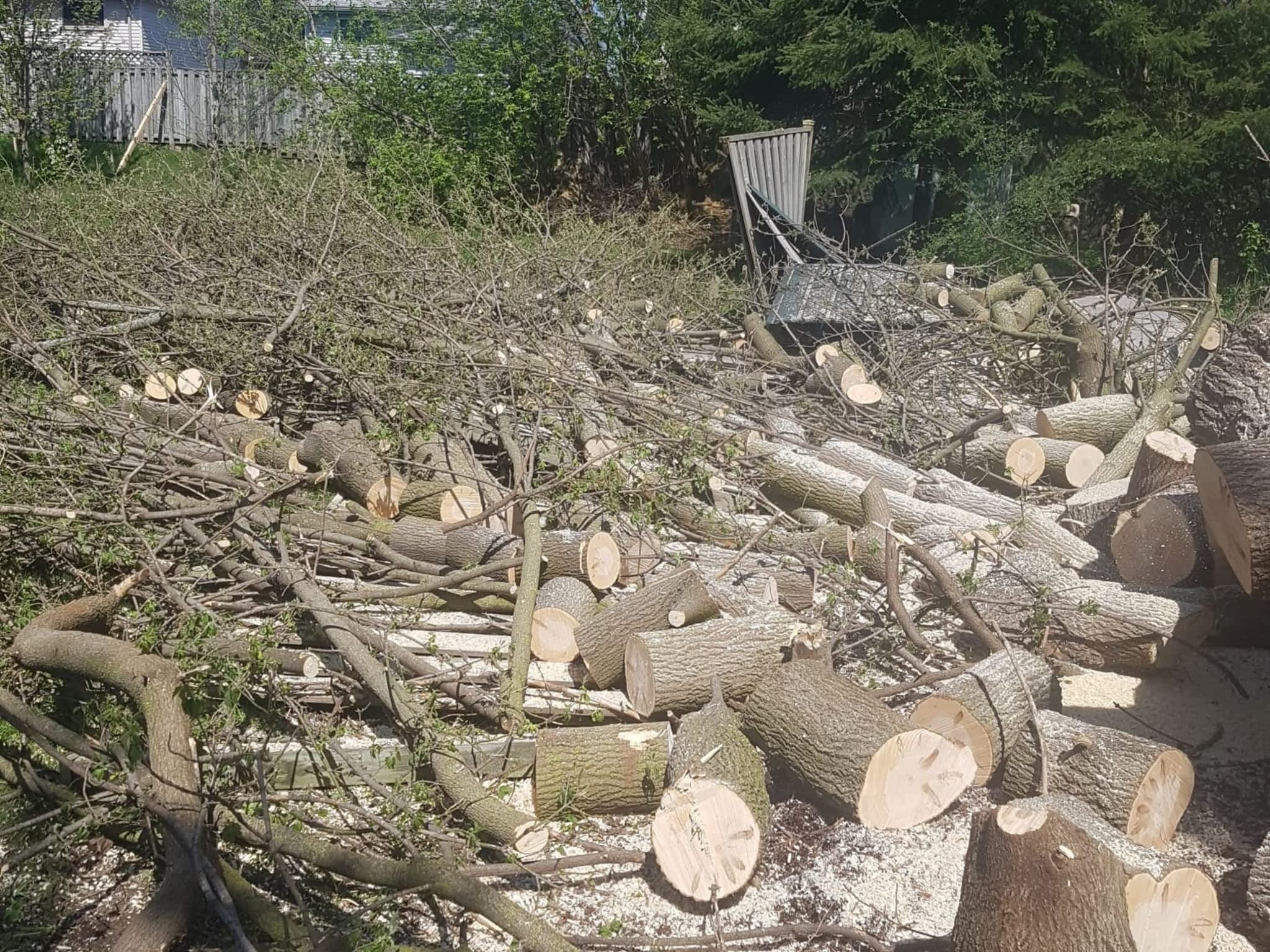 photo Wright's Tree Care