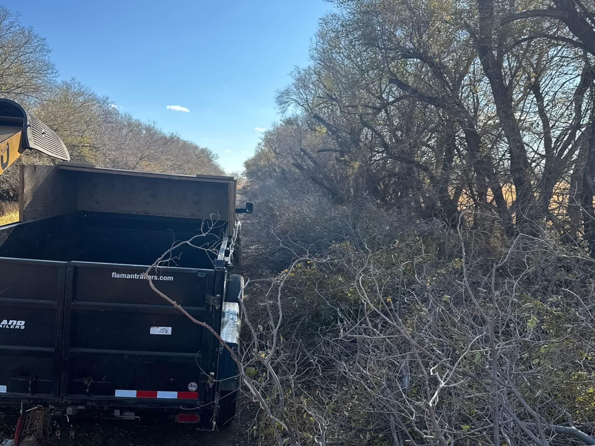 photo KAOS Inc - Tree Services