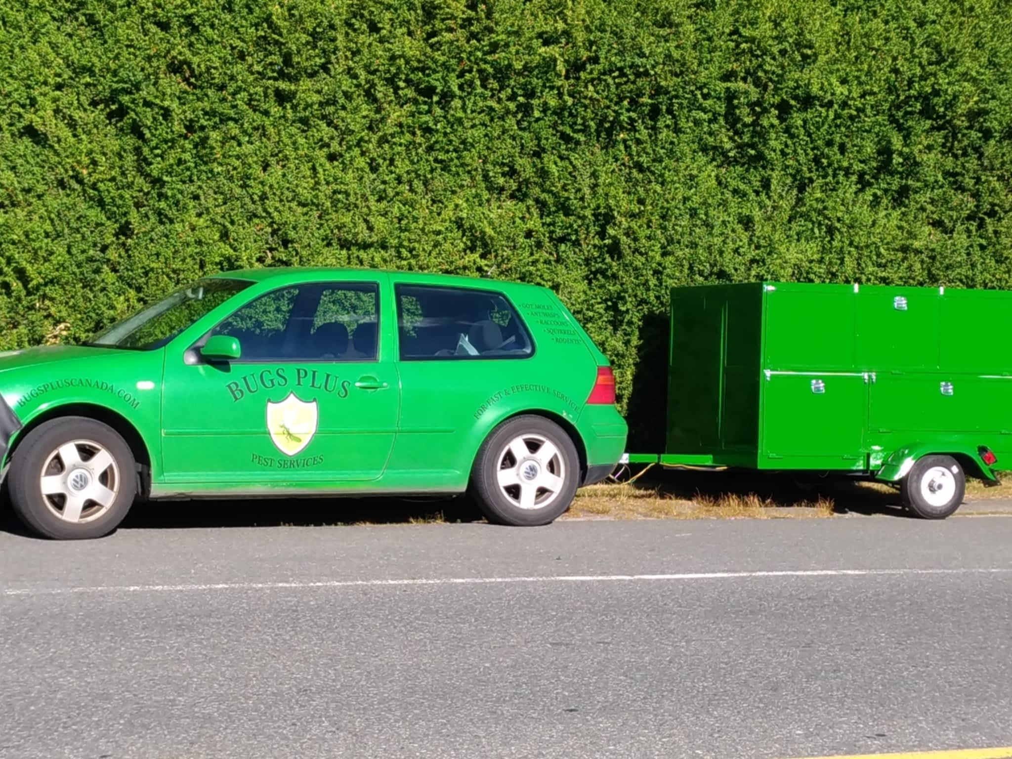 photo Bugs Plus Pest Services