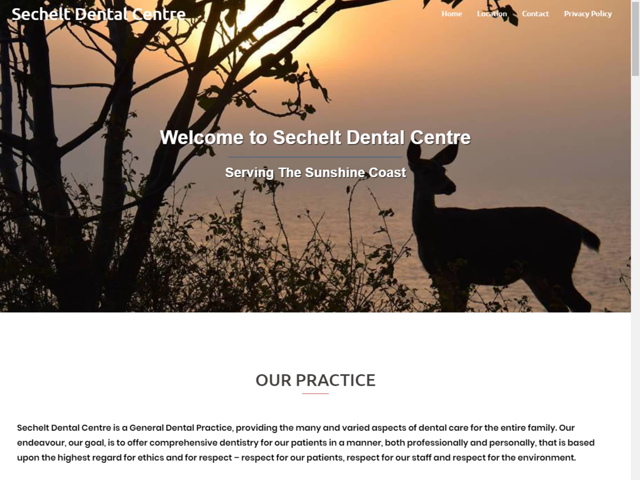 photo Greymouse Web Design & Local Marketing Services