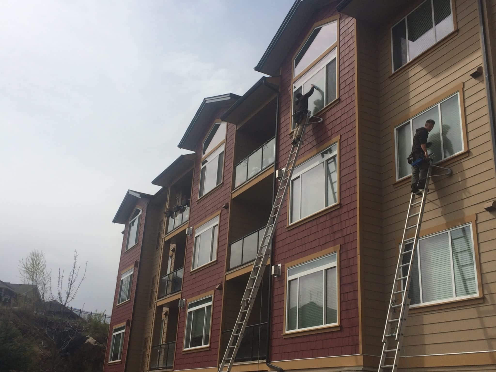 photo Next Level Window Cleaning
