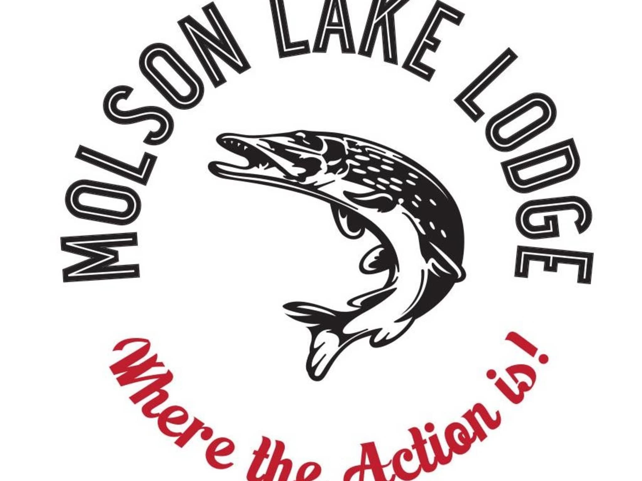 photo Molson Lake Lodge