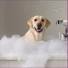 Dog City Grooming - Toilettage et tonte d'animaux domestiques