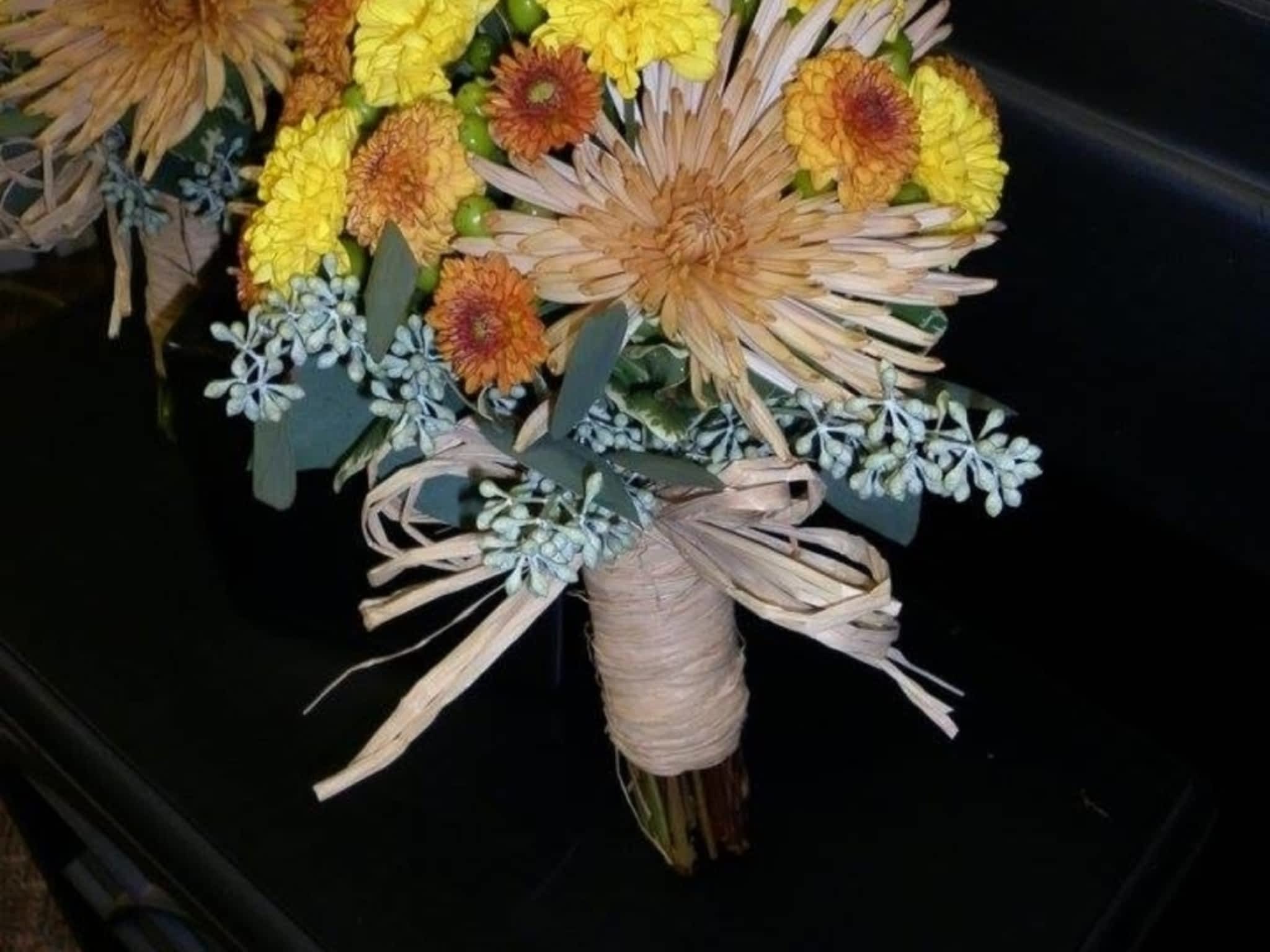 photo Blooms Flowers