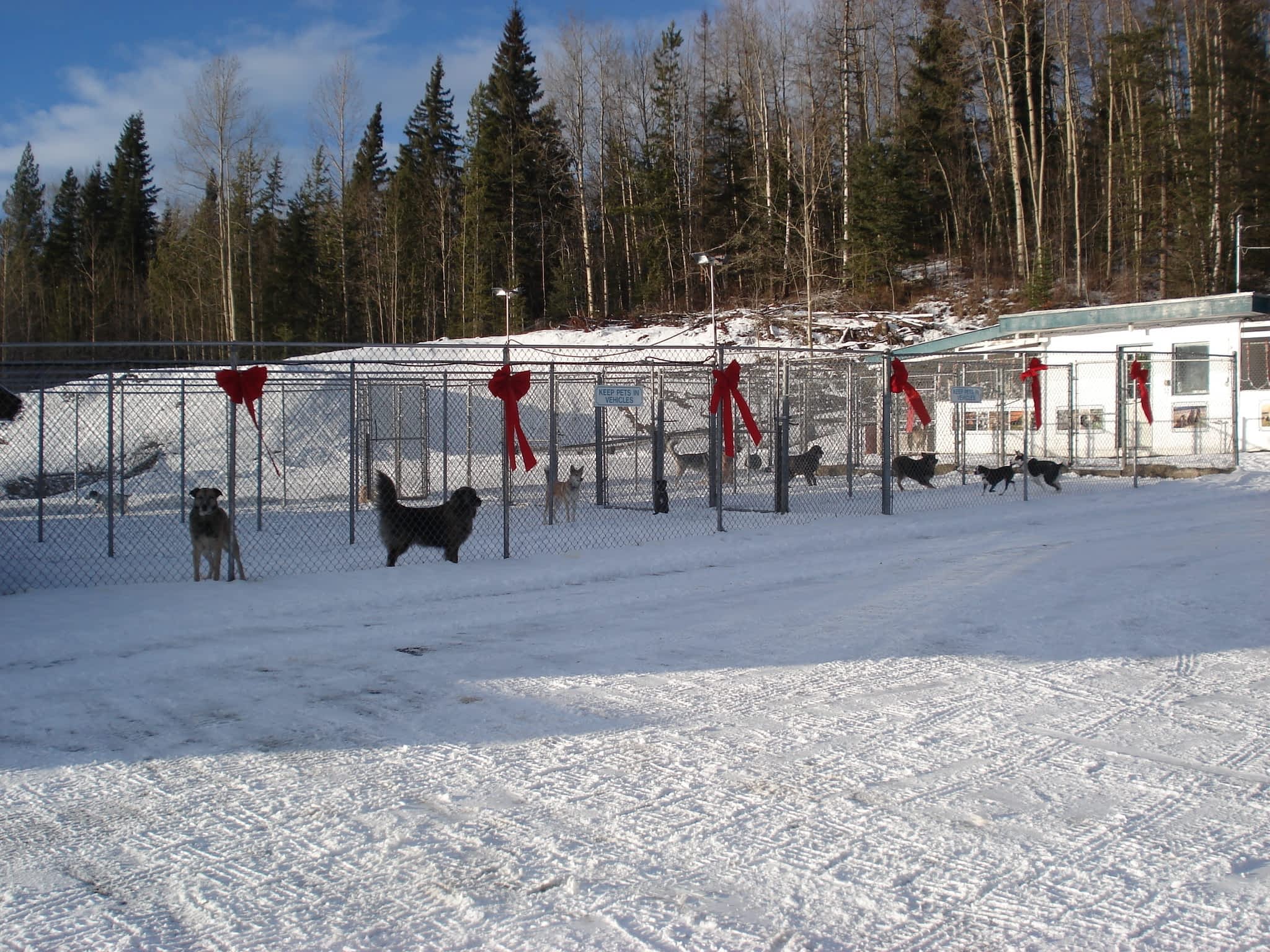 Mackye Kennels Prince BC 7955 Old Summit Lake Rd Canpages