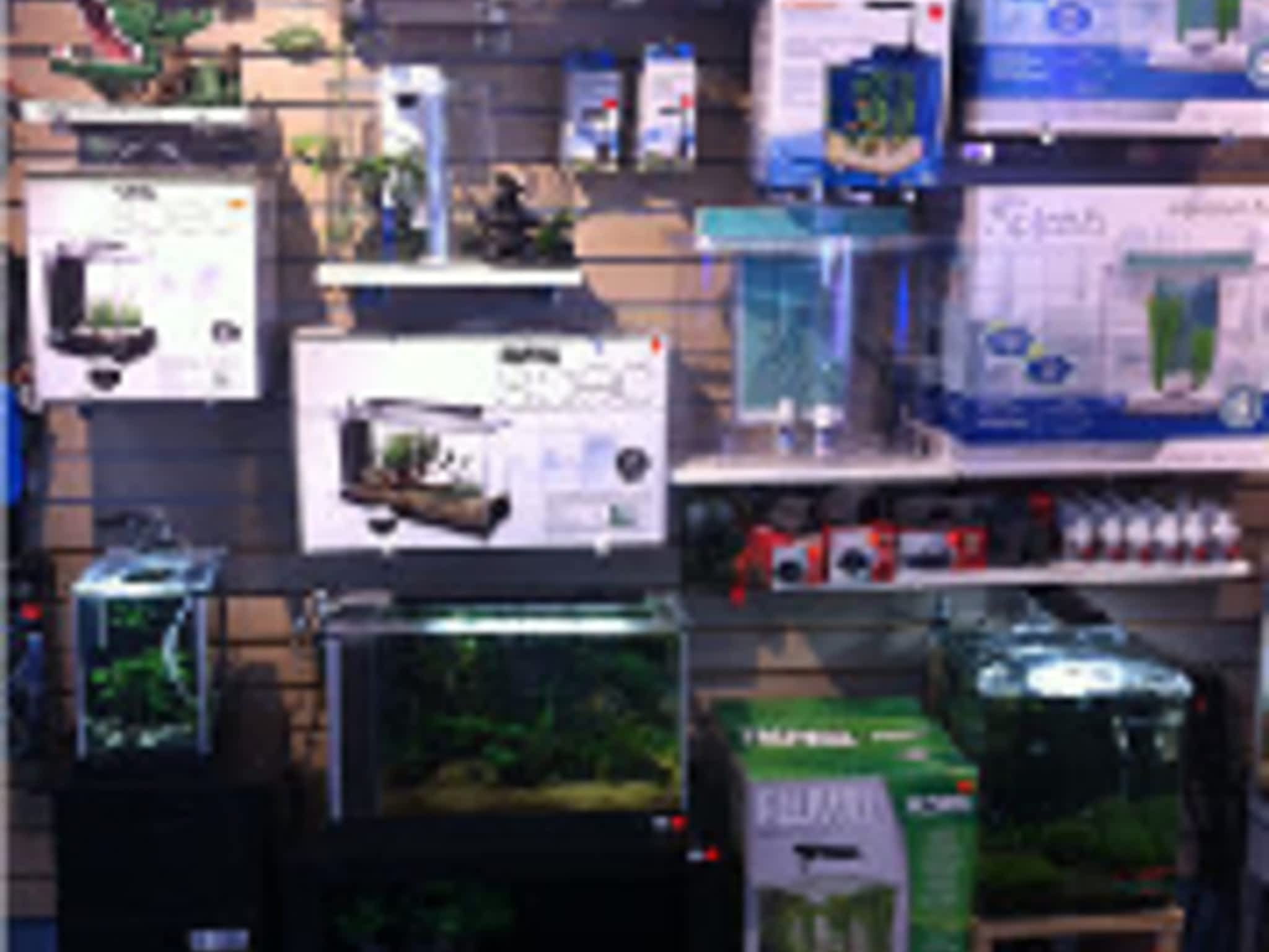 photo AJ's Pets & Things