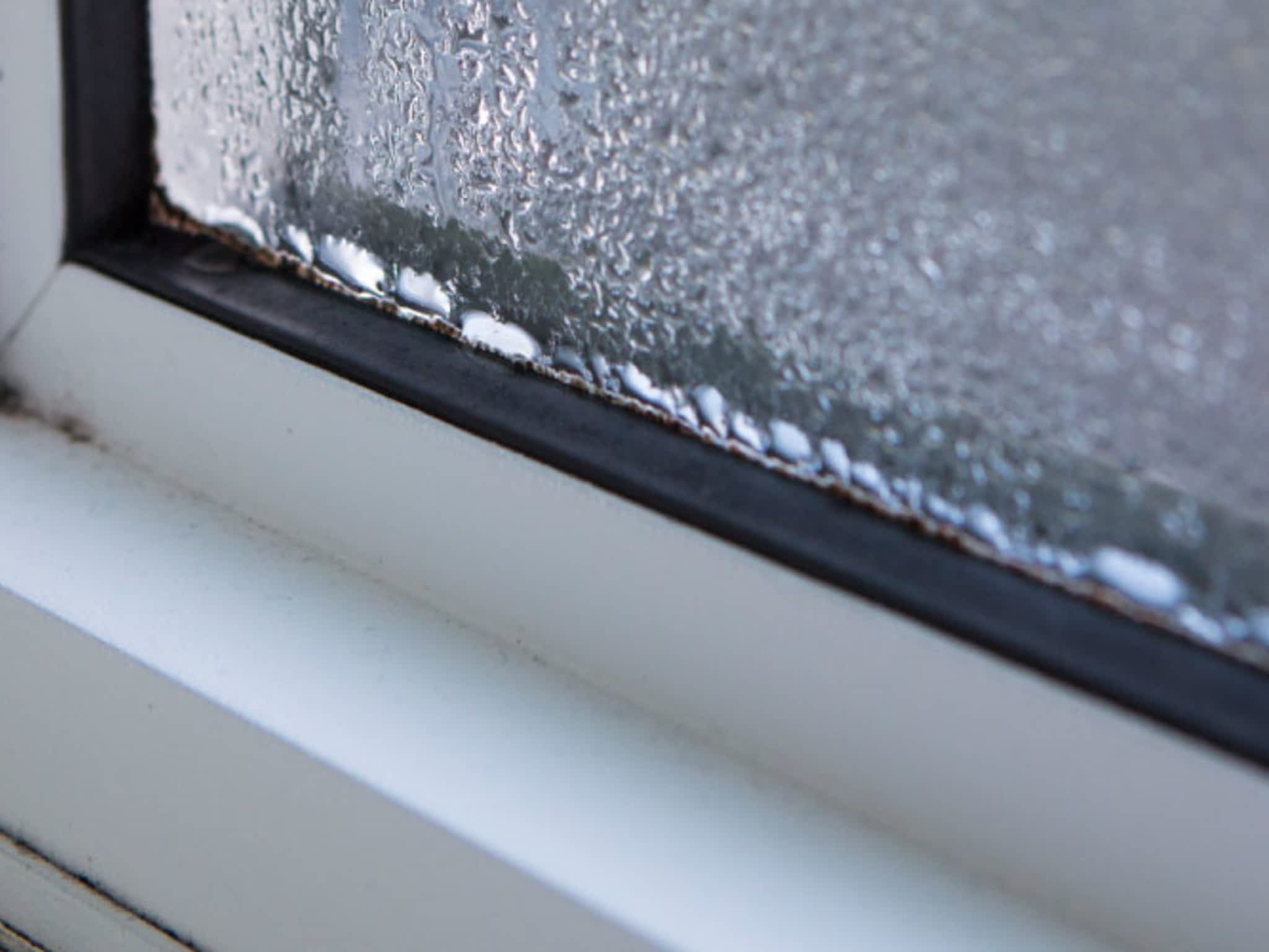 photo Cascade Environmental Consulting Ltd