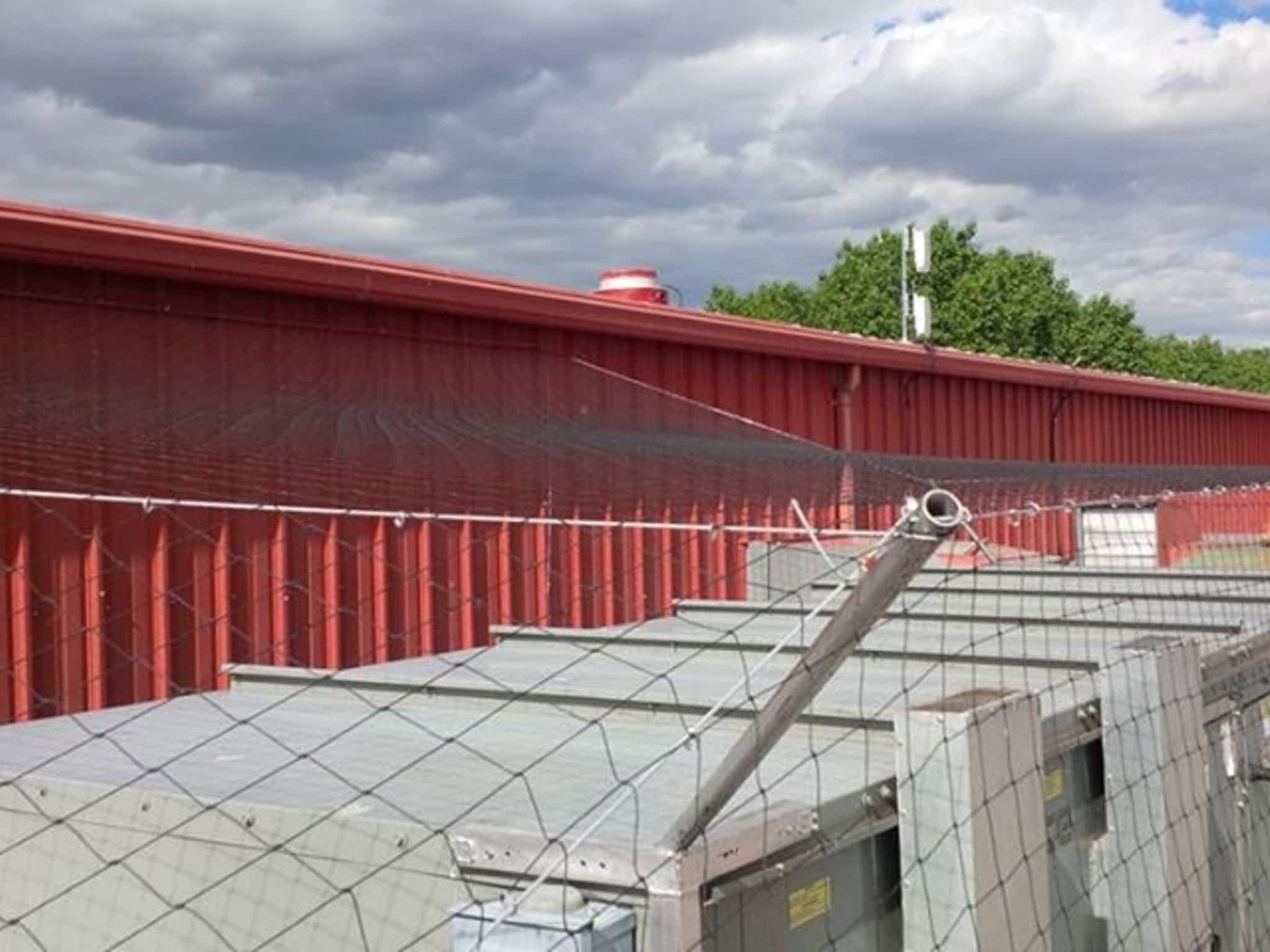 Absolute Pest Control Inc Canpages