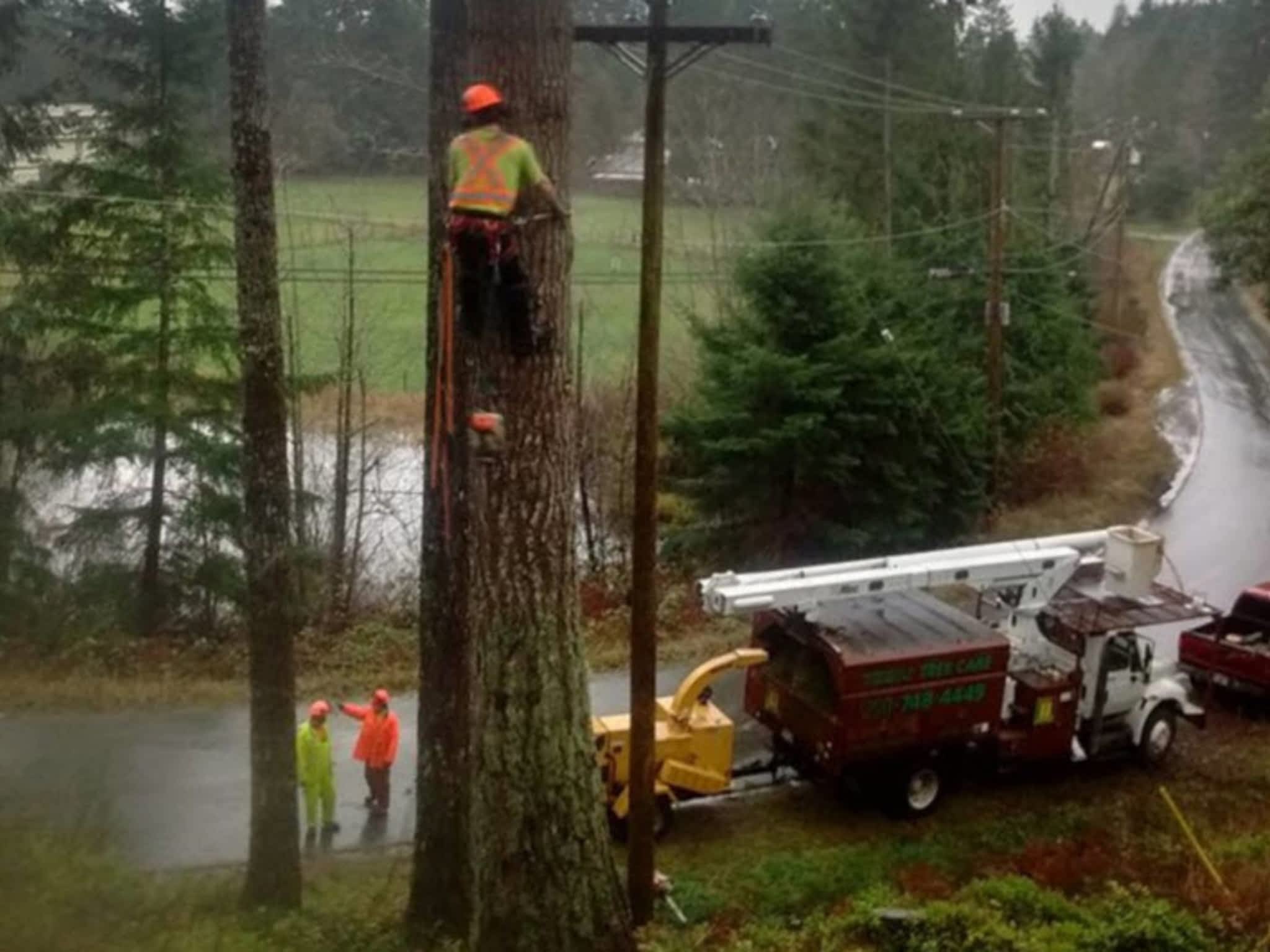 photo Libra Tree Services Ltd