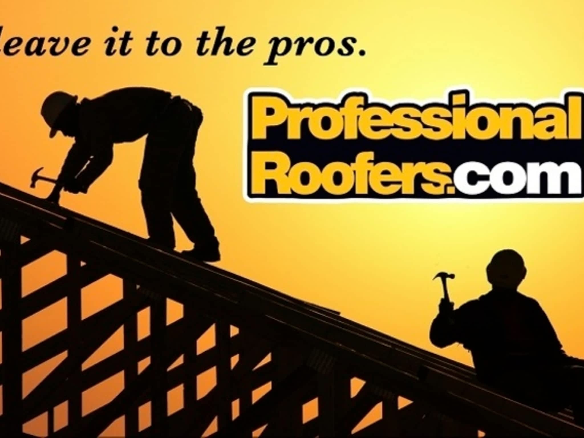 photo Professional Roofers