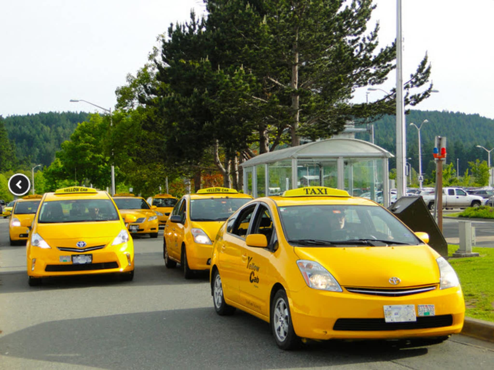 photo Yellow Cab Of Victoria