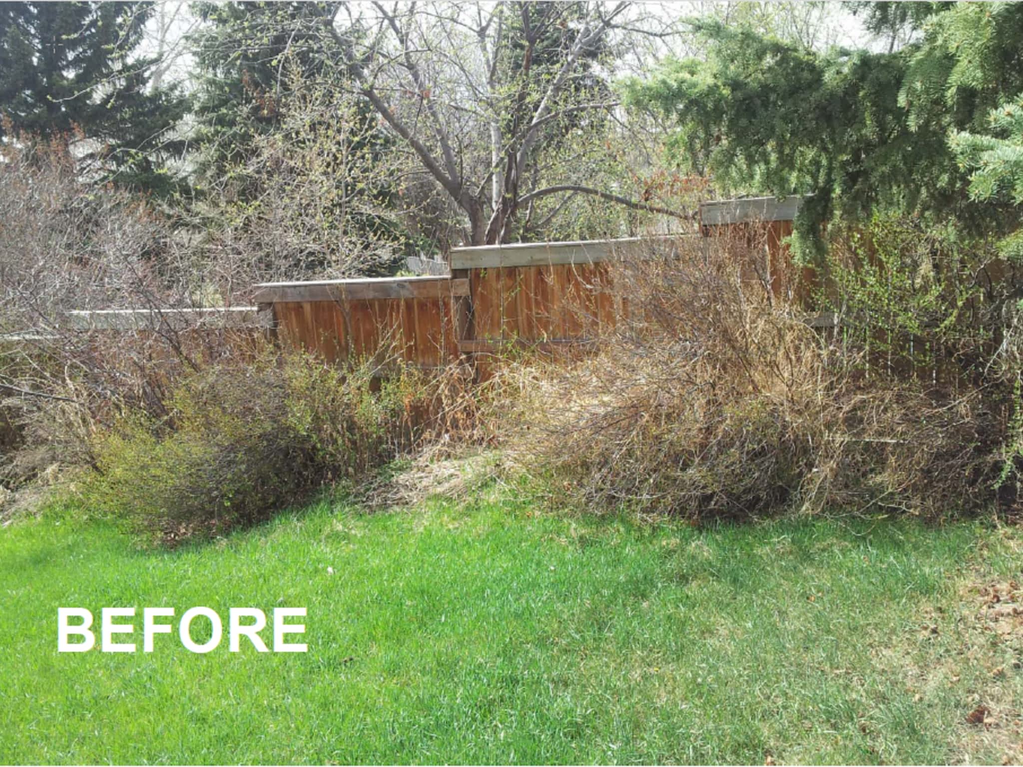 photo Mowhawks Property Services