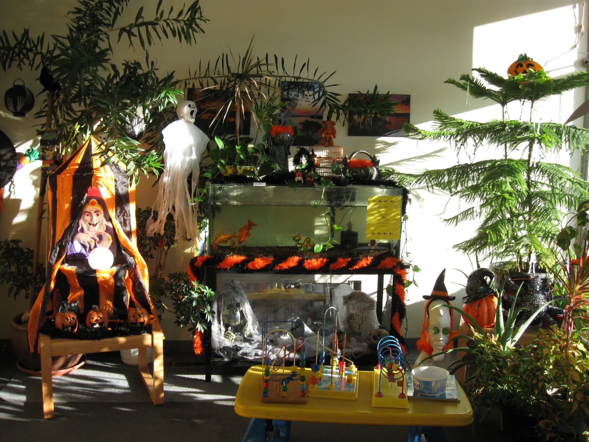 Money Tree Payday Loans - Winnipeg, MB - 1376 McPhillips St | Canpages