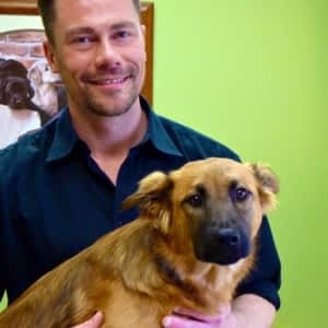 cedarwood animal hospital