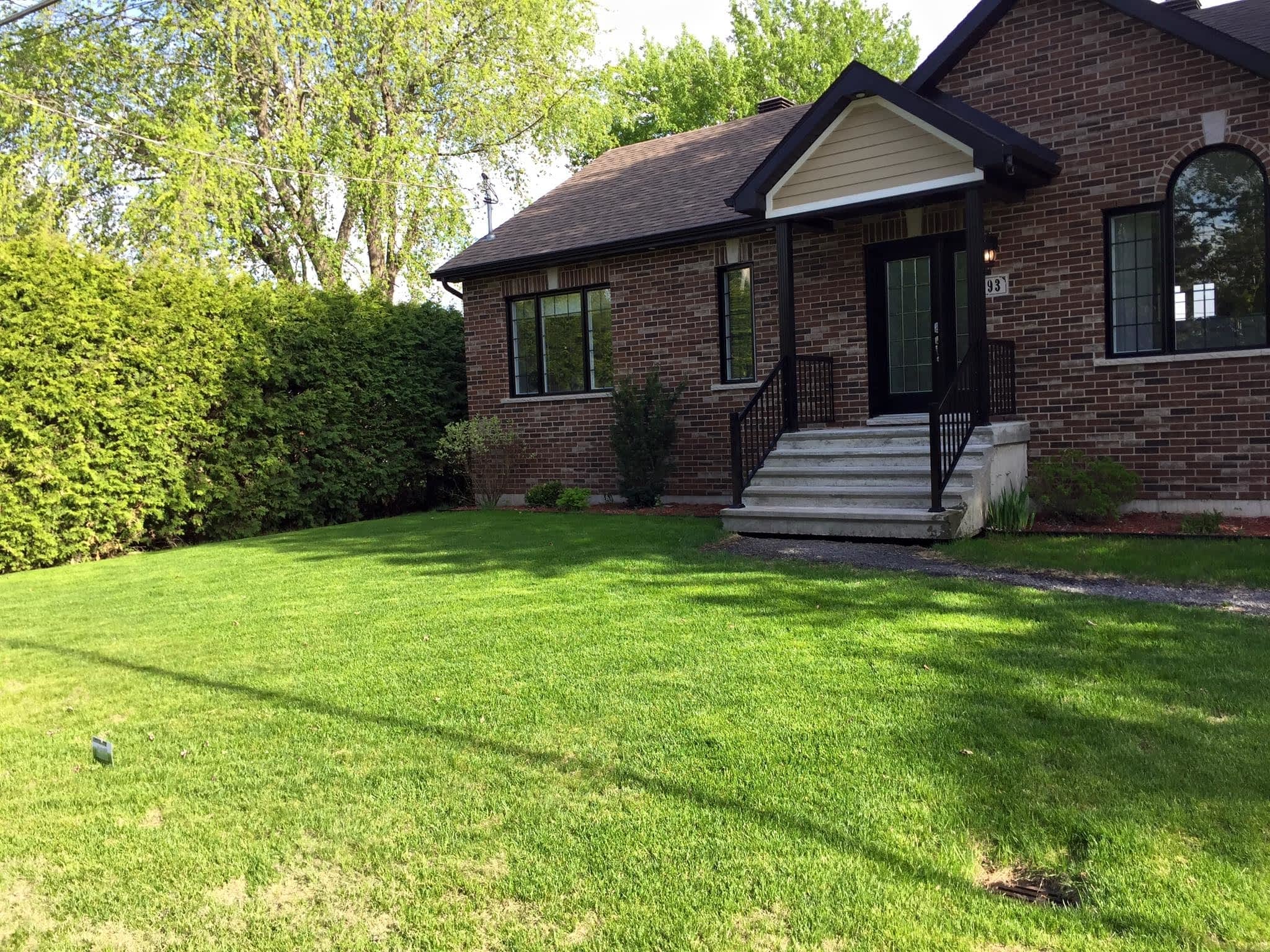 photo Qualité Pelouse