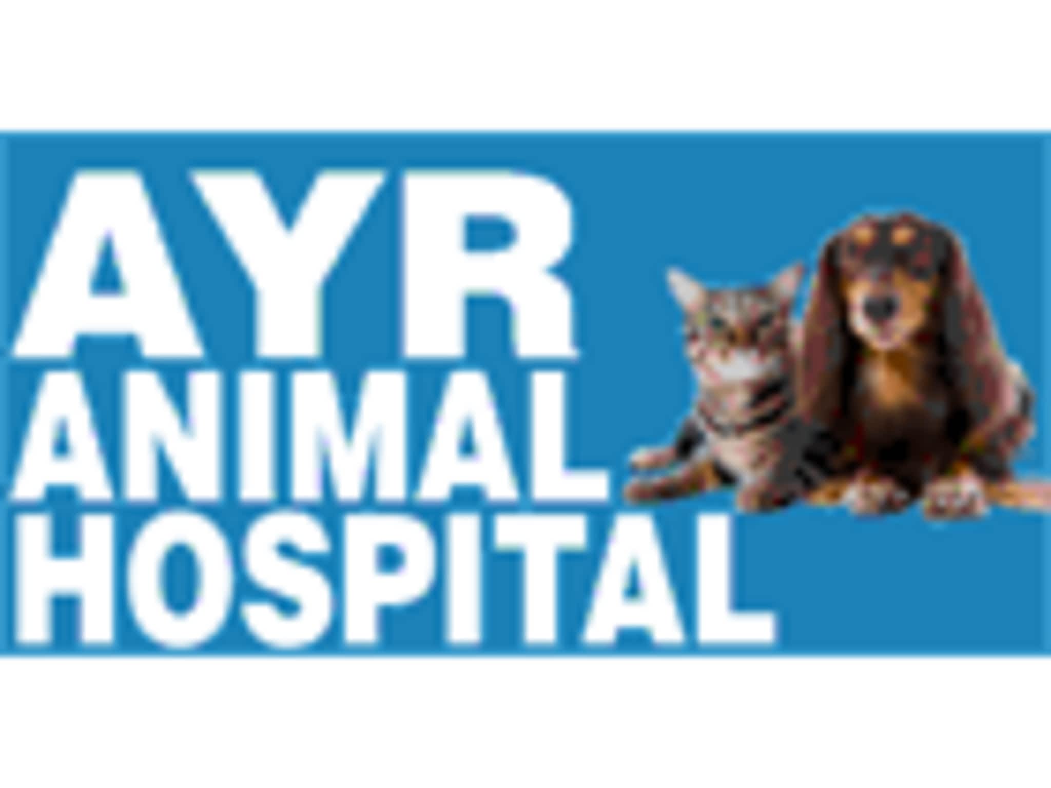 photo Ayr Animal Hospital