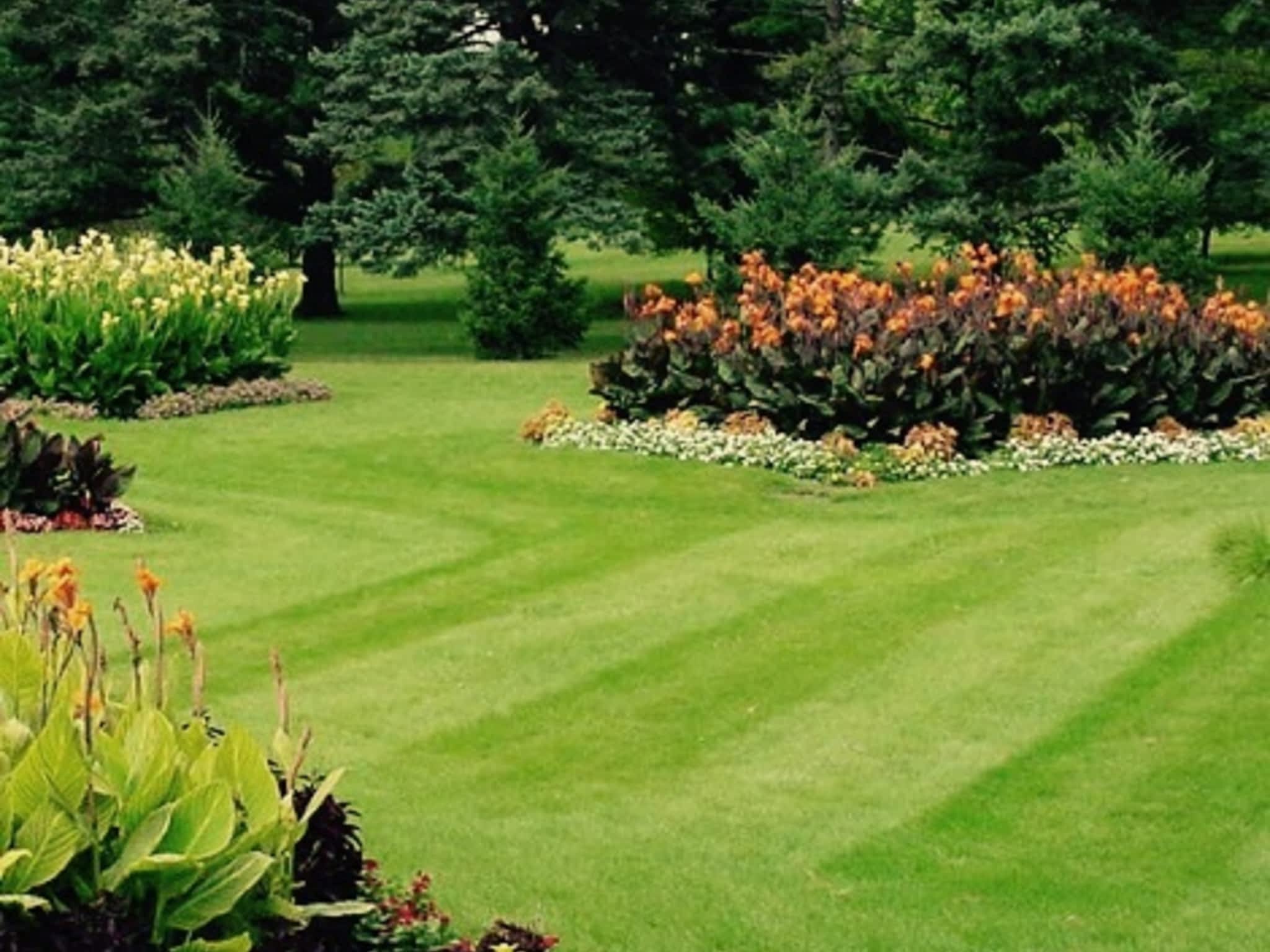 photo We Cut For You