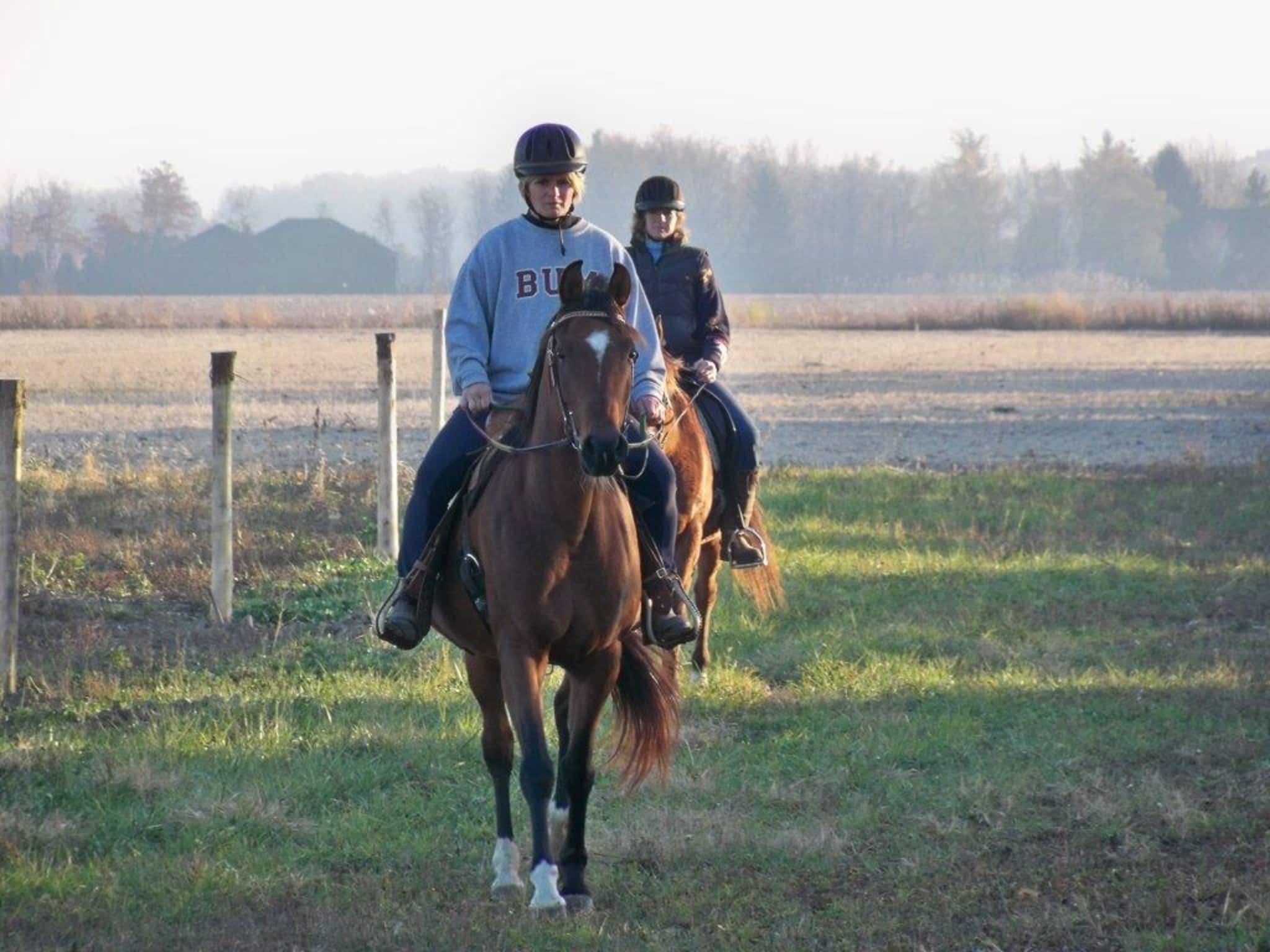 photo Symphony Stables-Tack