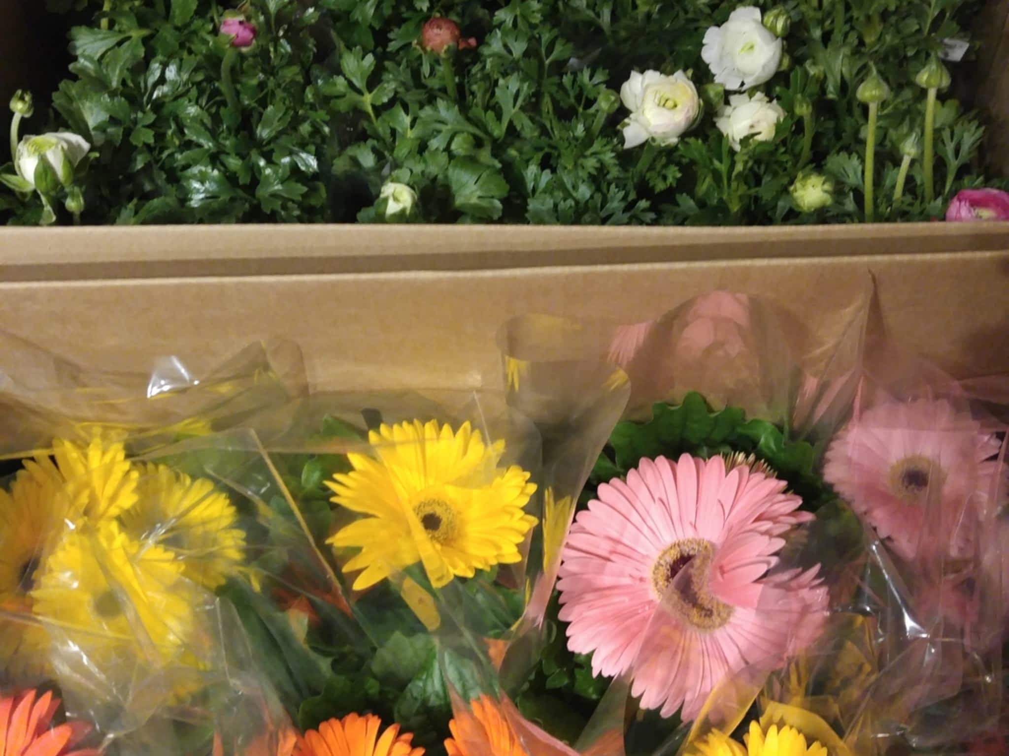 photo Serendipity Florals