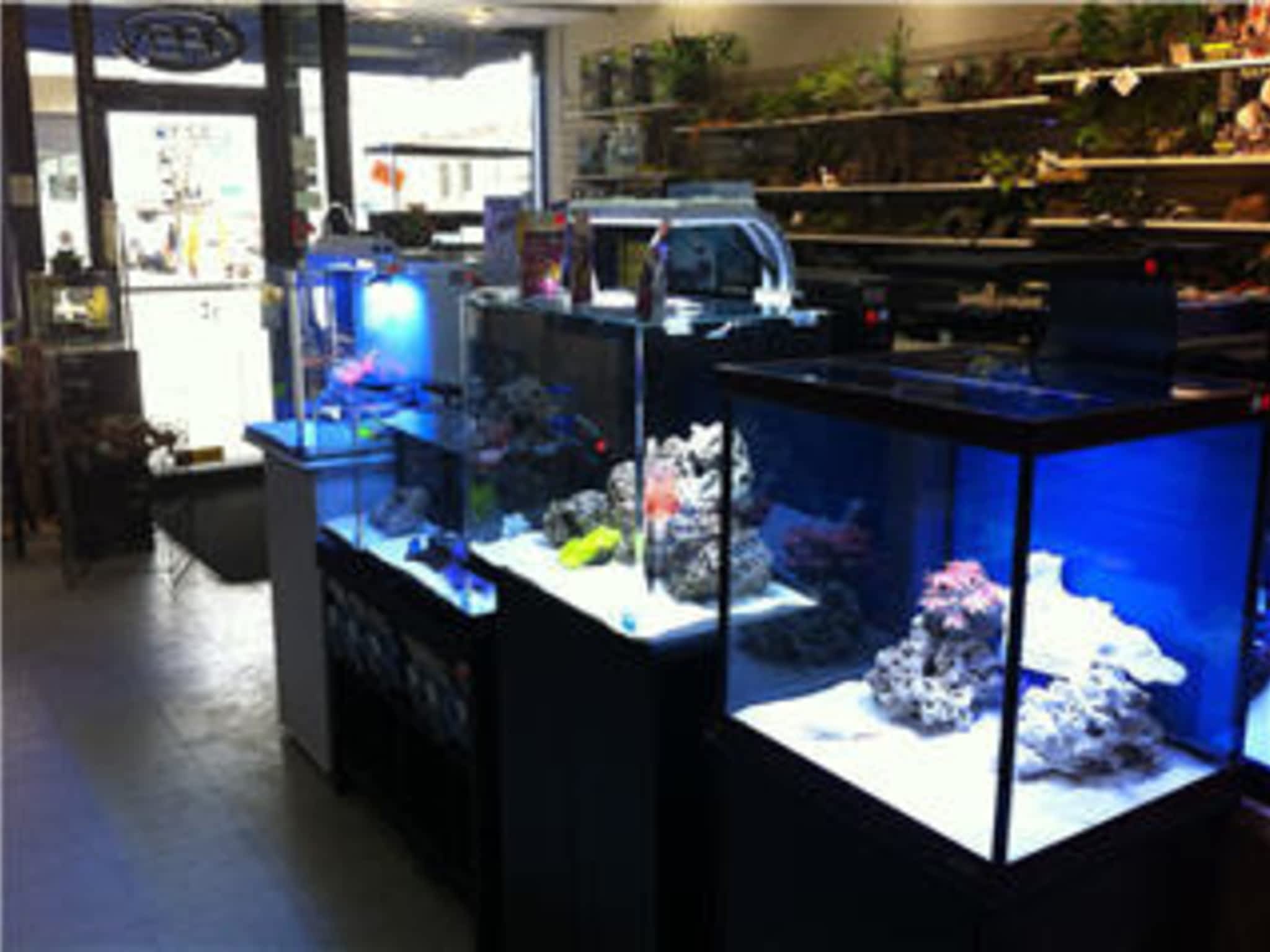 photo AJ's Pets & Things