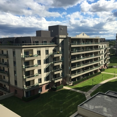 Magnolia Apartments - Apartments