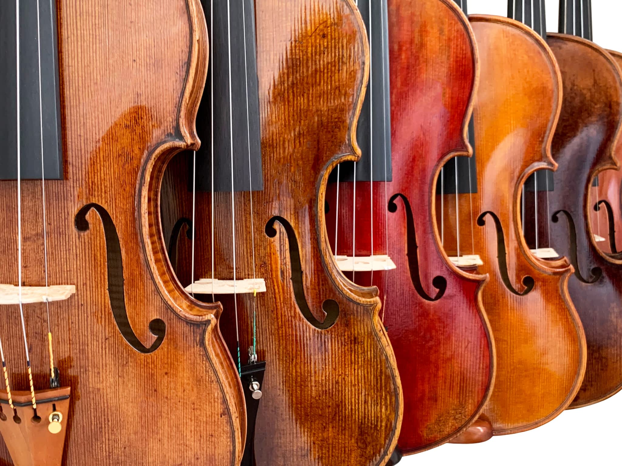 photo Fiddleheads Violin Studio