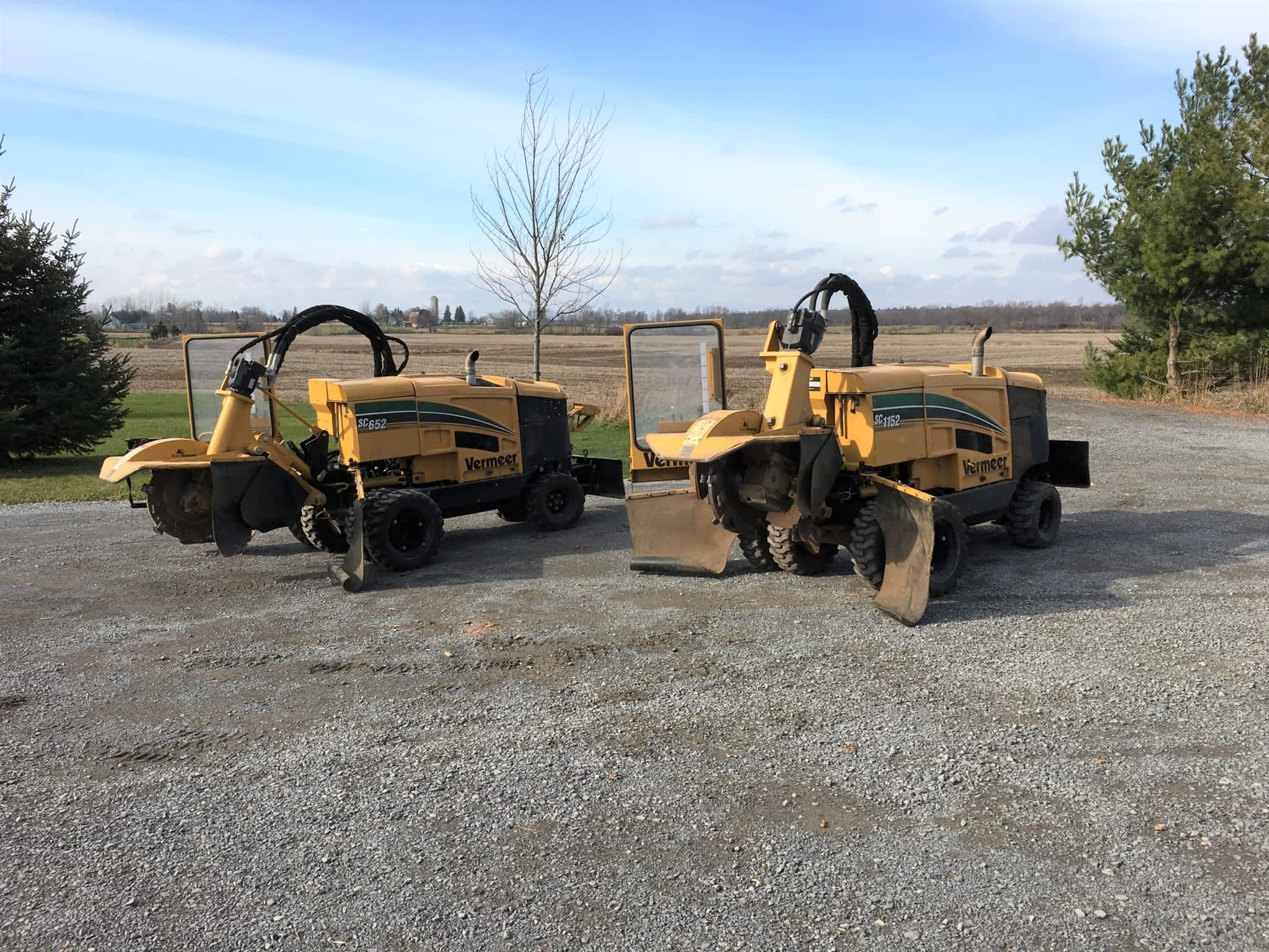 photo Timber Tree Service