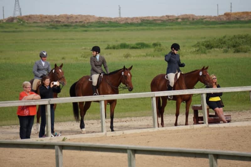Grand Oak Meadow Stables Winnipeg, MB 1237 McCreary Rd Canpages