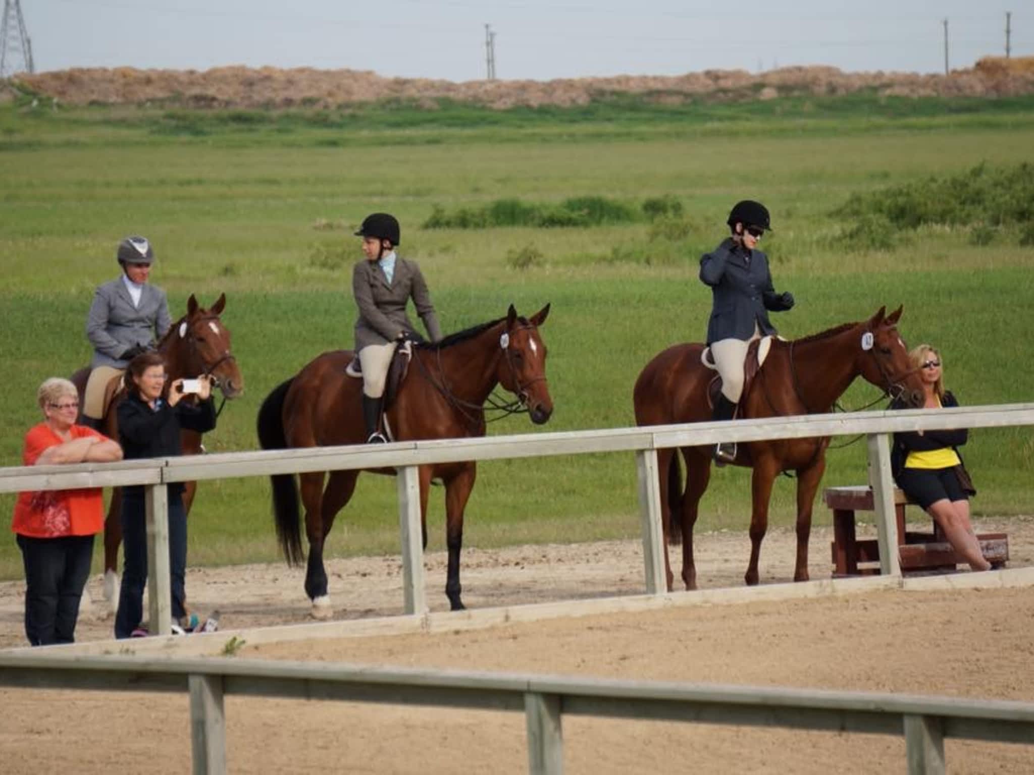 Grand Oak Meadow Stables Winnipeg, MB 1237 McCreary Rd Canpages
