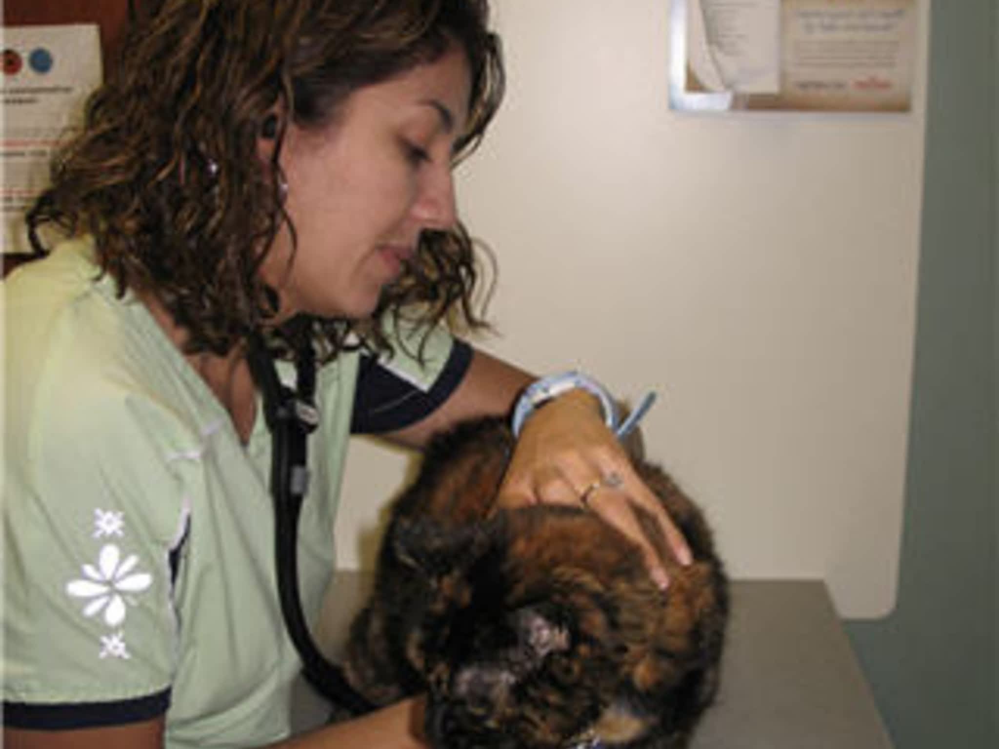 photo Canyon Meadows Veterinary Clinic