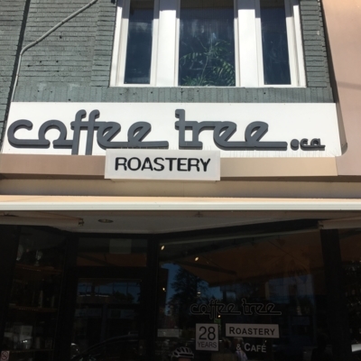 Coffee Tree - Coffee Stores