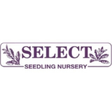 View Select Seedling Nursery Ltd’s Saskatoon profile