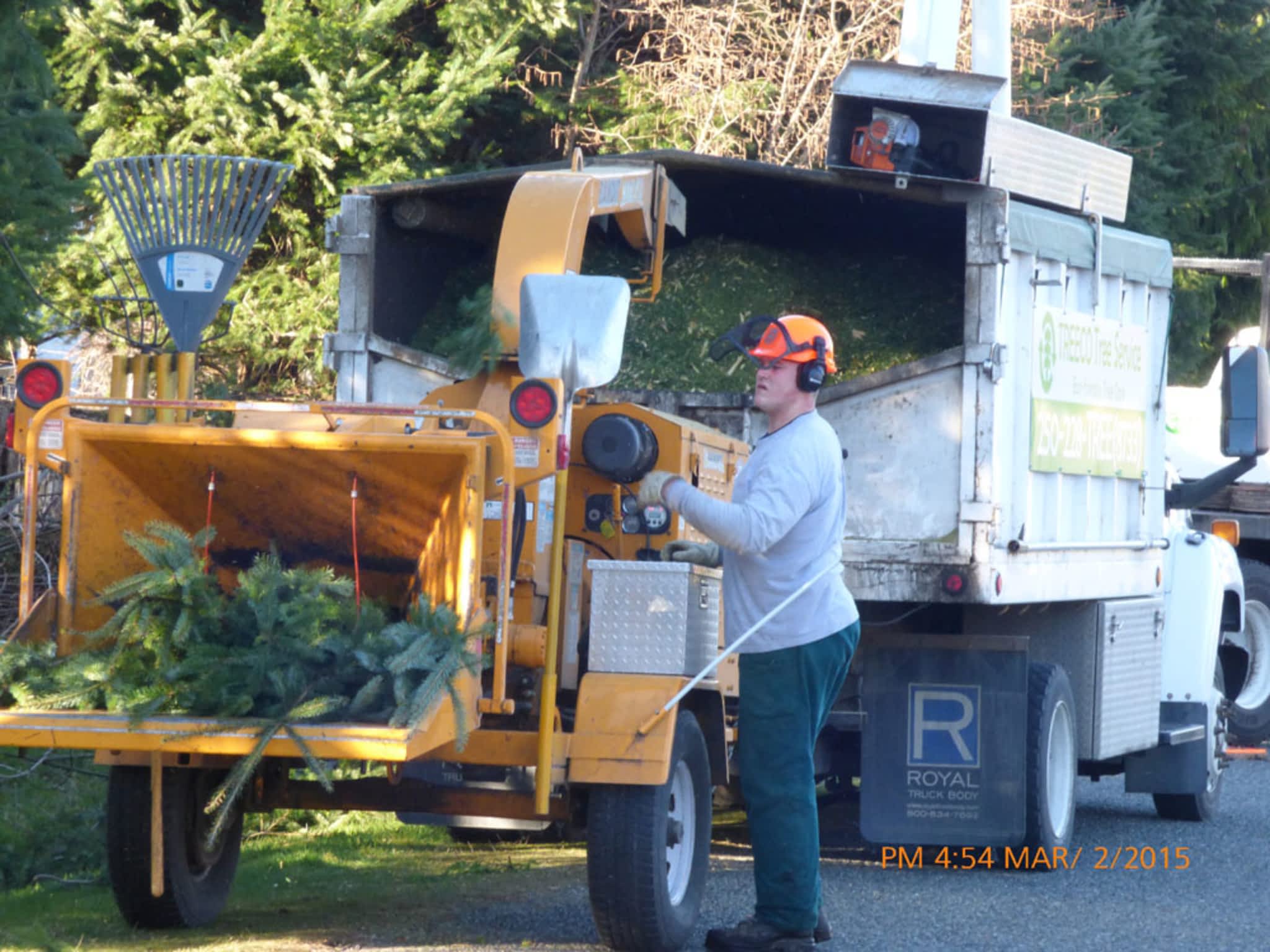 photo Treeco Tree Service