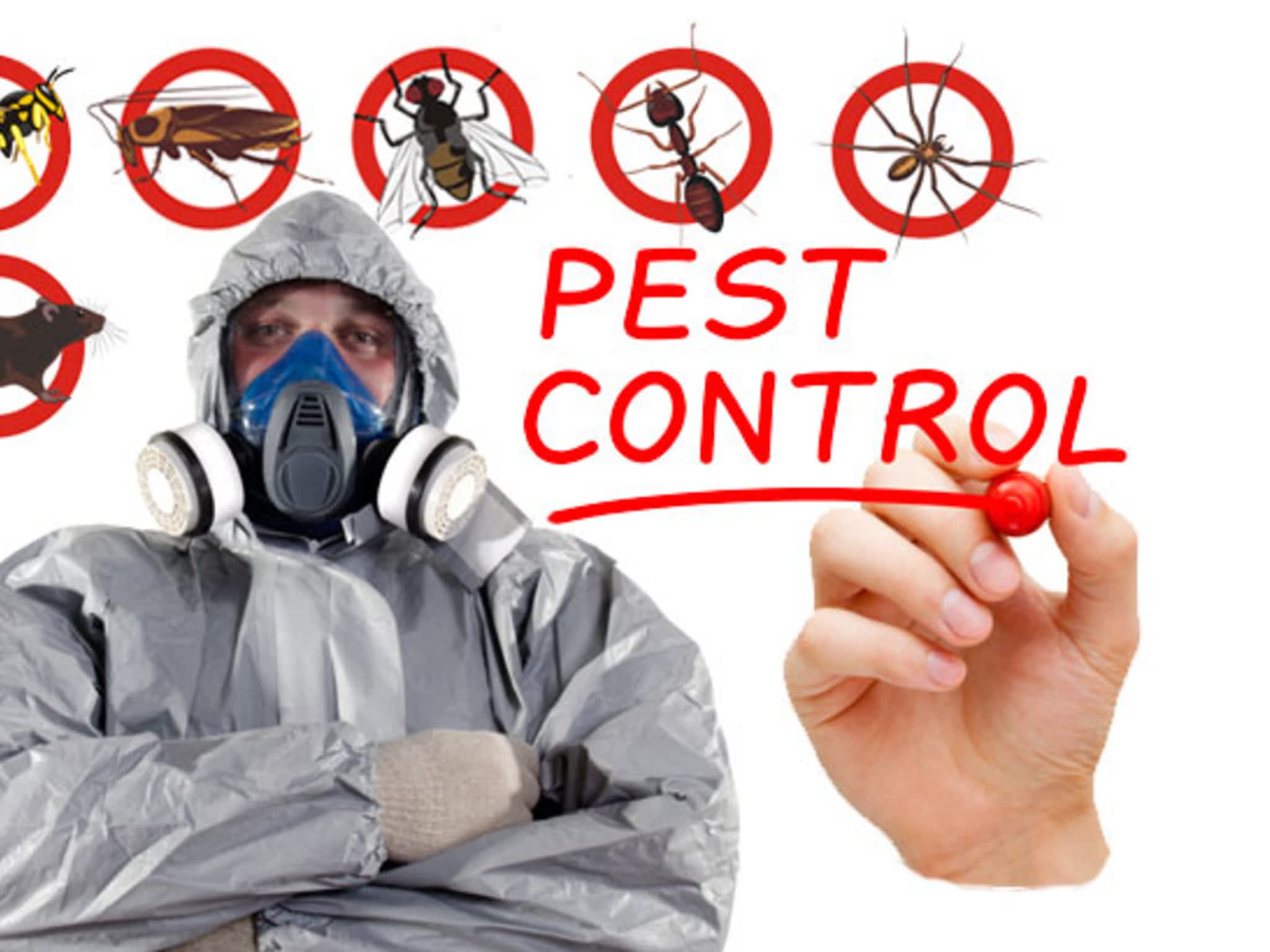 photo Rupan Pest Control